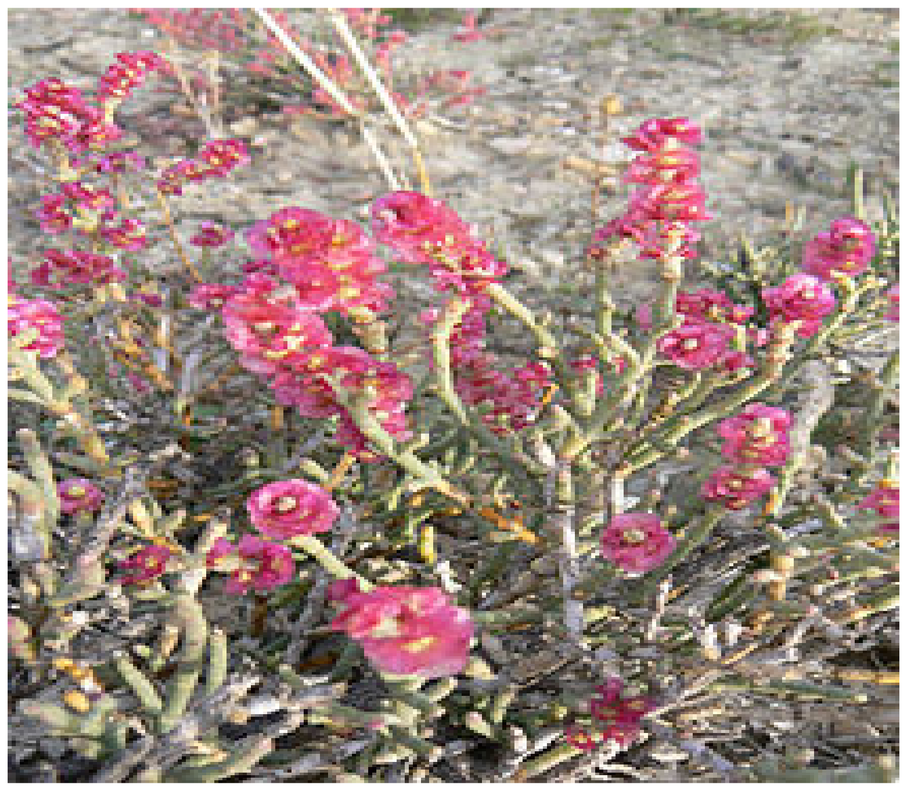 Molecules 27 03526 g001