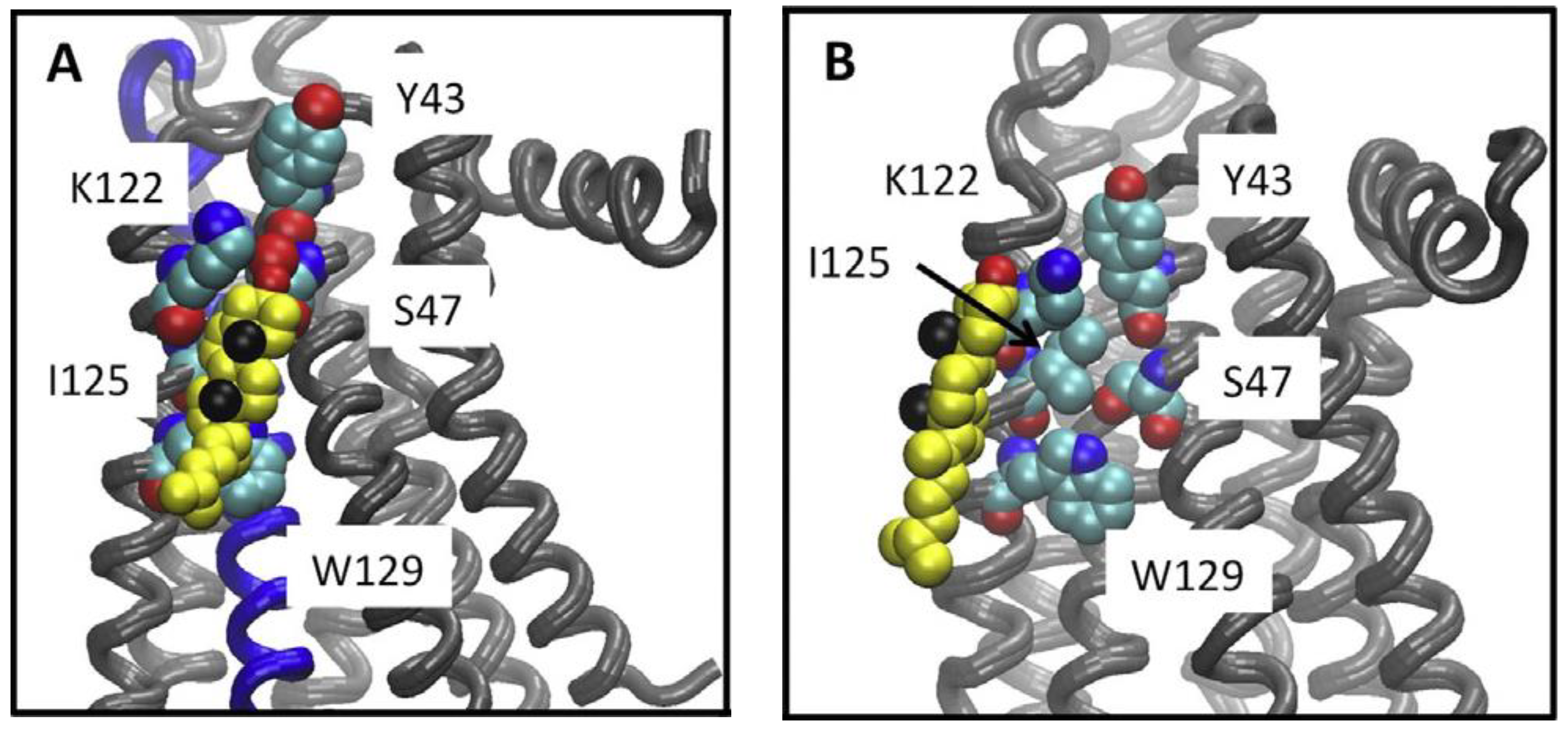 Molecules 27 03529 g001 Molecules 27 03529 g001