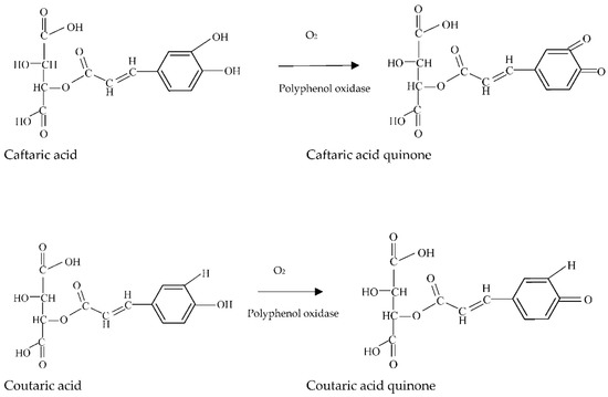 Molecules 27 03535 g004 550