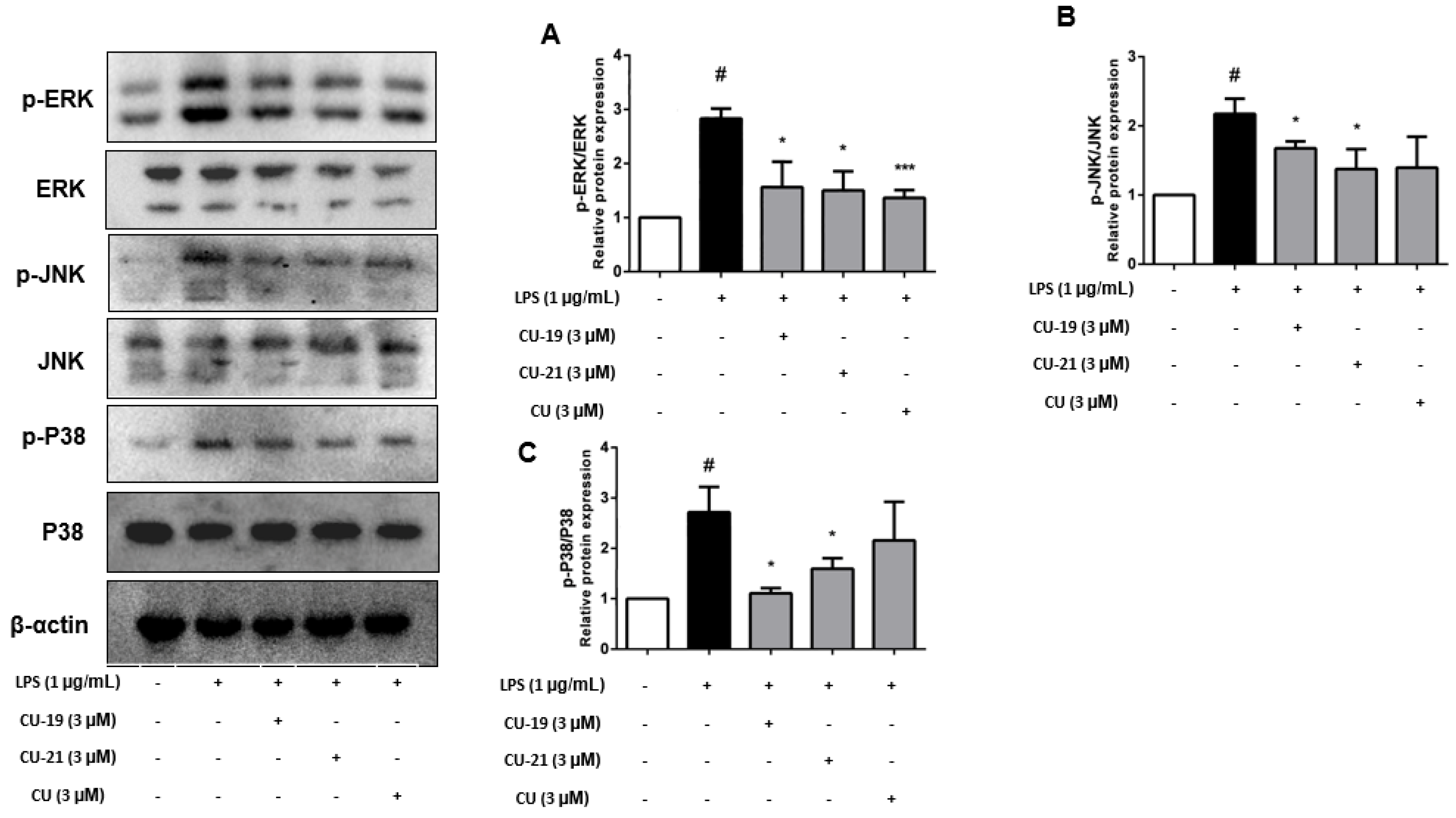 Molecules 27 03537 g006
