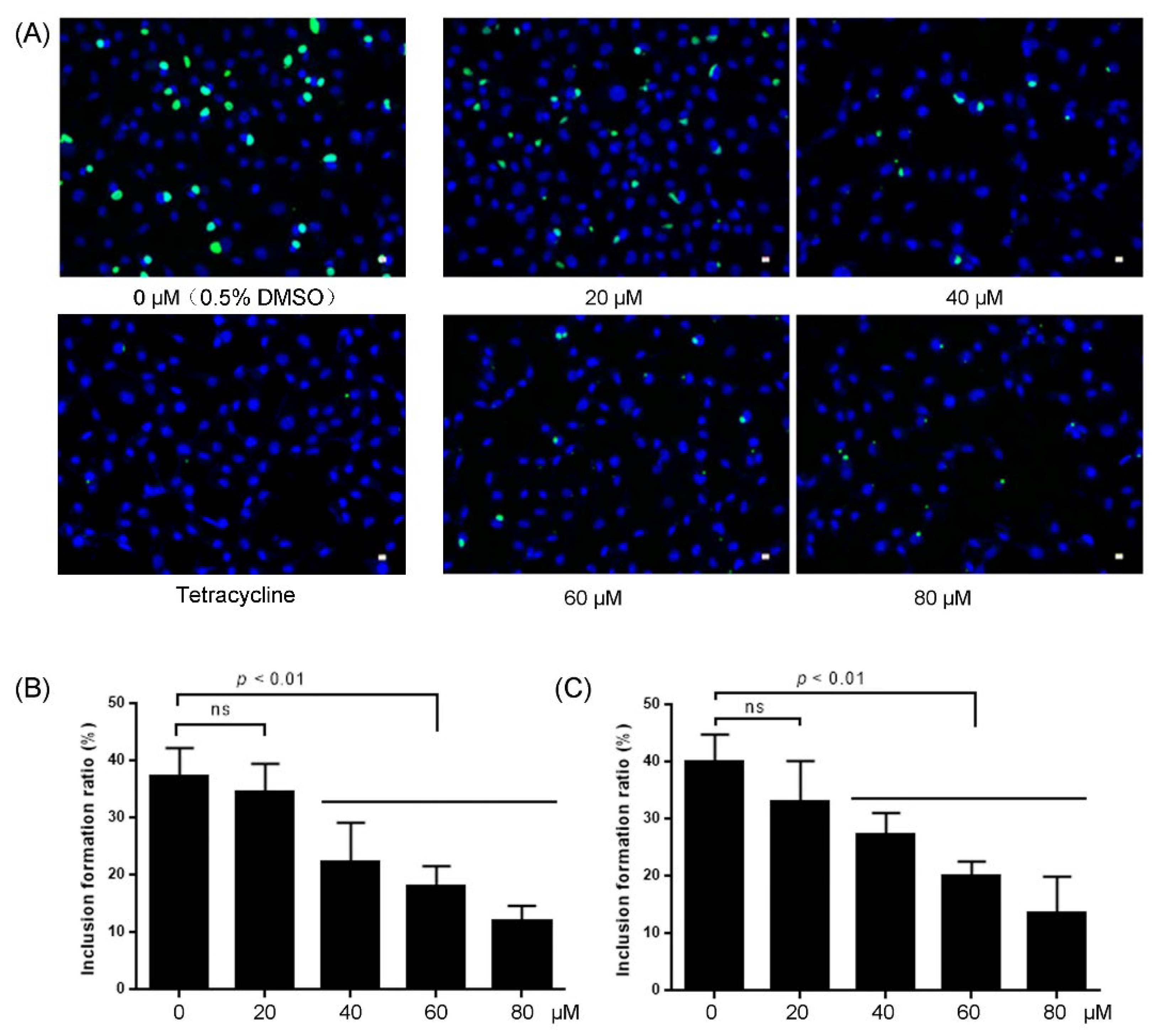Molecules 27 03540 g004 Molecules 27 03540 g004
