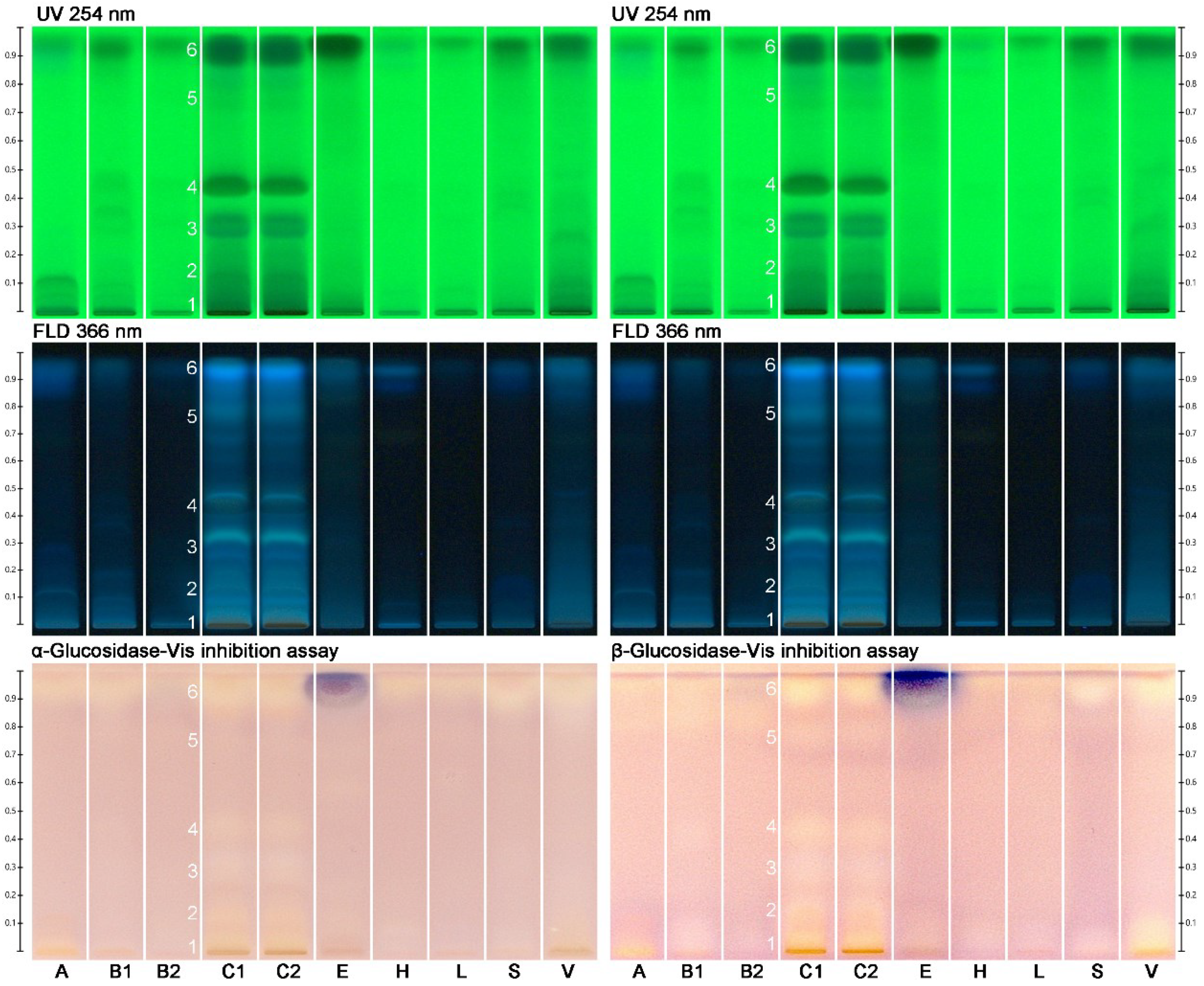 Molecules 27 03541 g001 Molecules 27 03541 g001