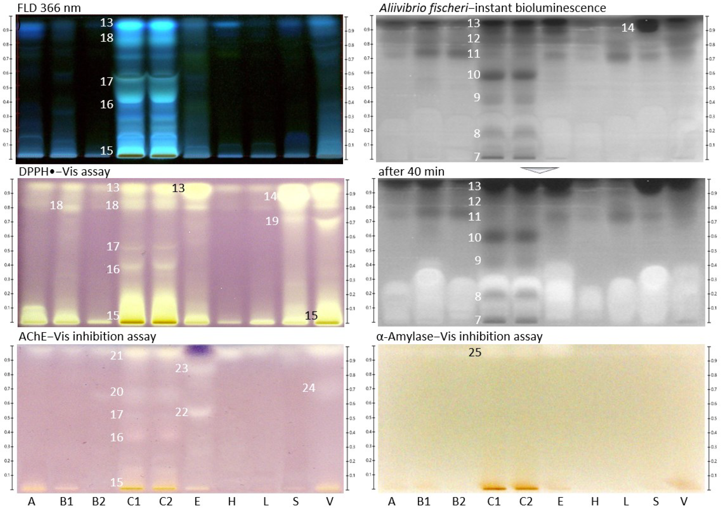 Molecules 27 03541 g002 Molecules 27 03541 g002