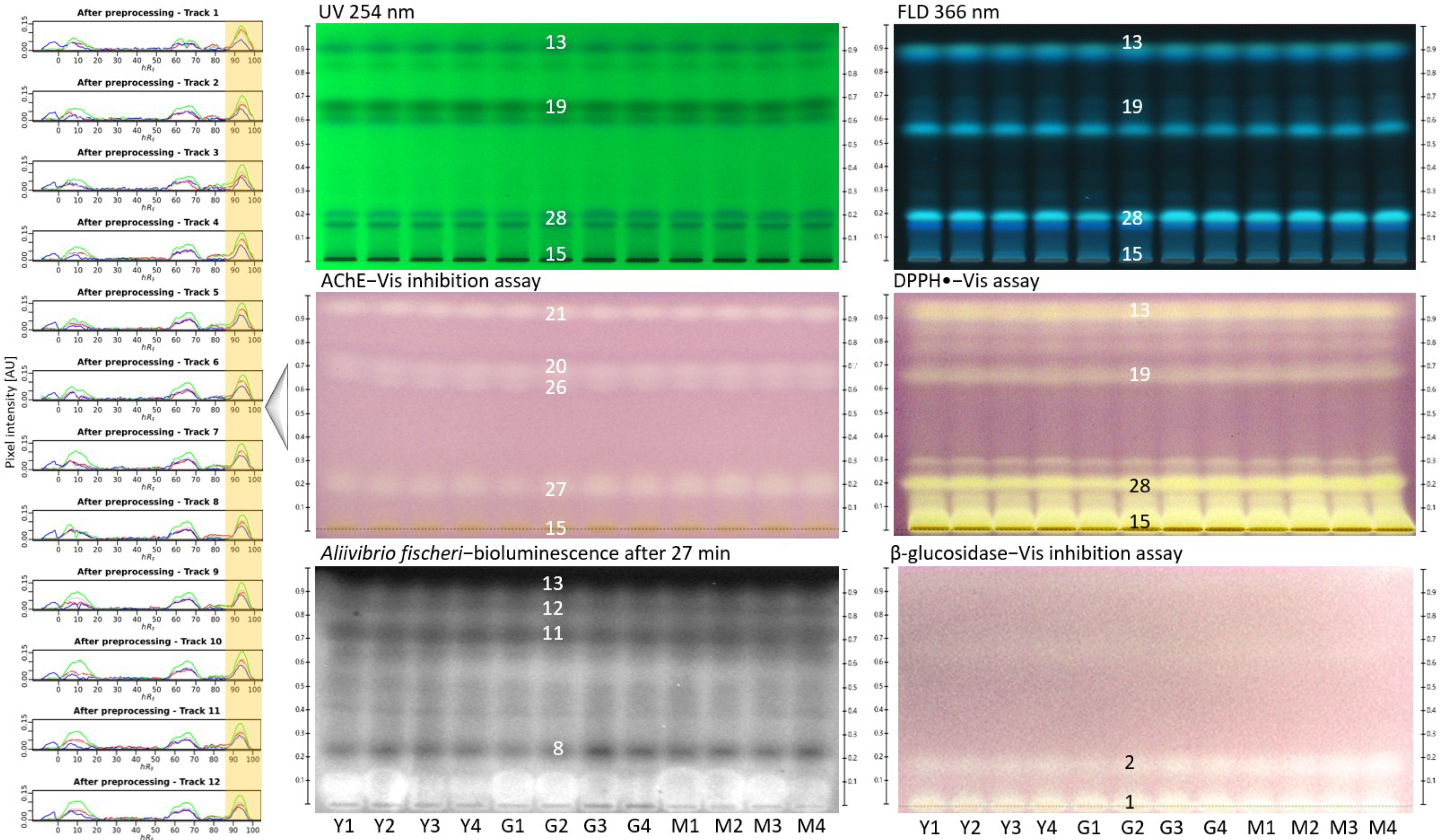 Molecules 27 03541 g003 Molecules 27 03541 g003