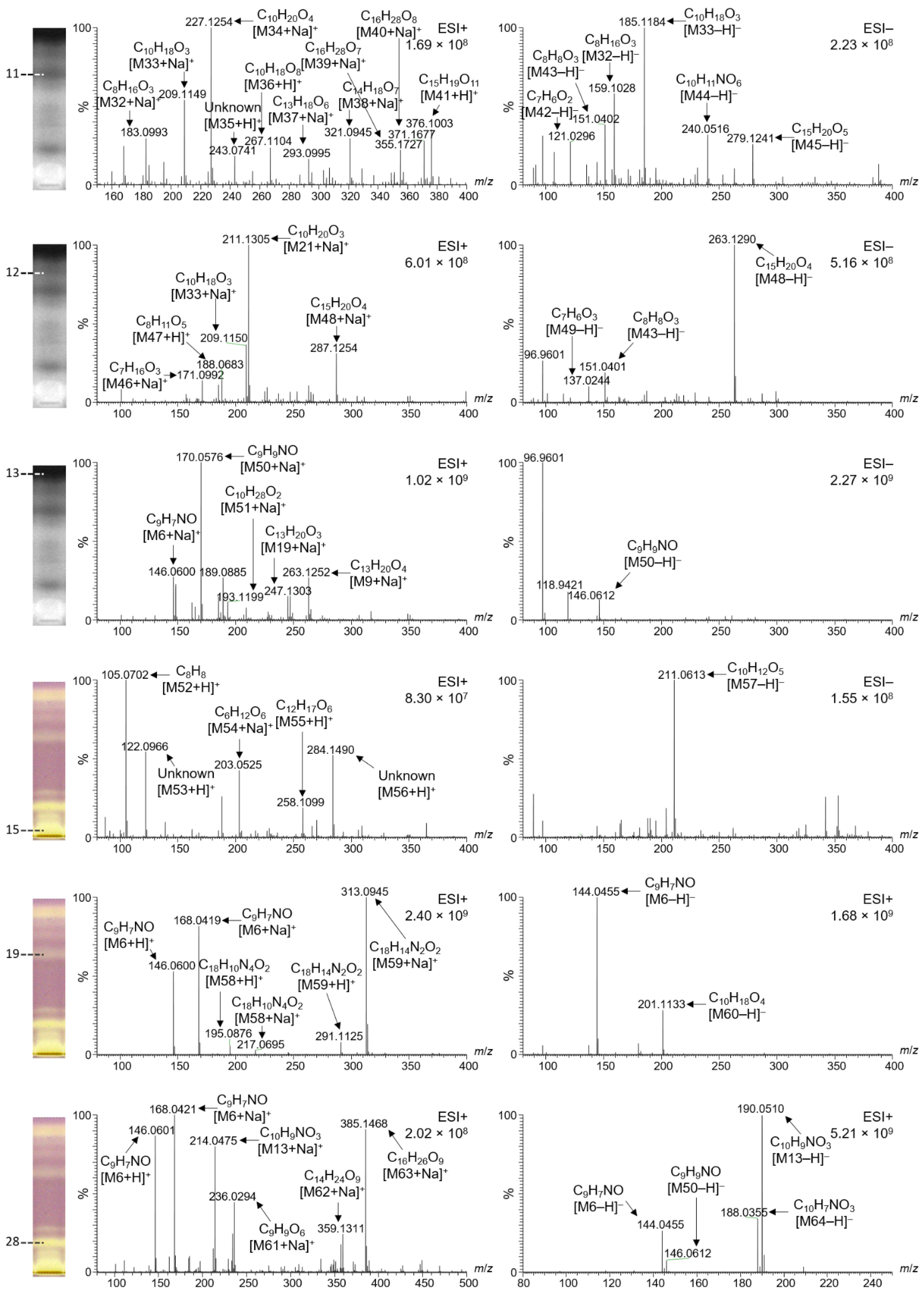Molecules 27 03541 g005 Molecules 27 03541 g005
