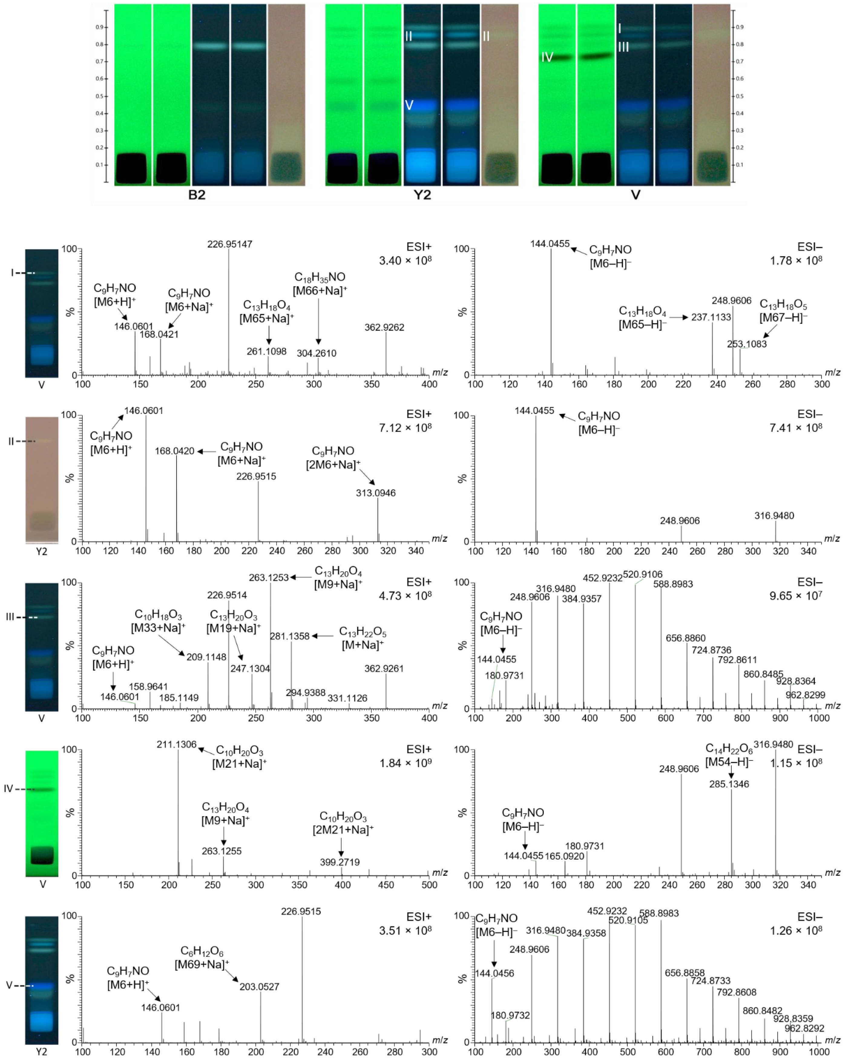 Molecules 27 03541 g006 Molecules 27 03541 g006
