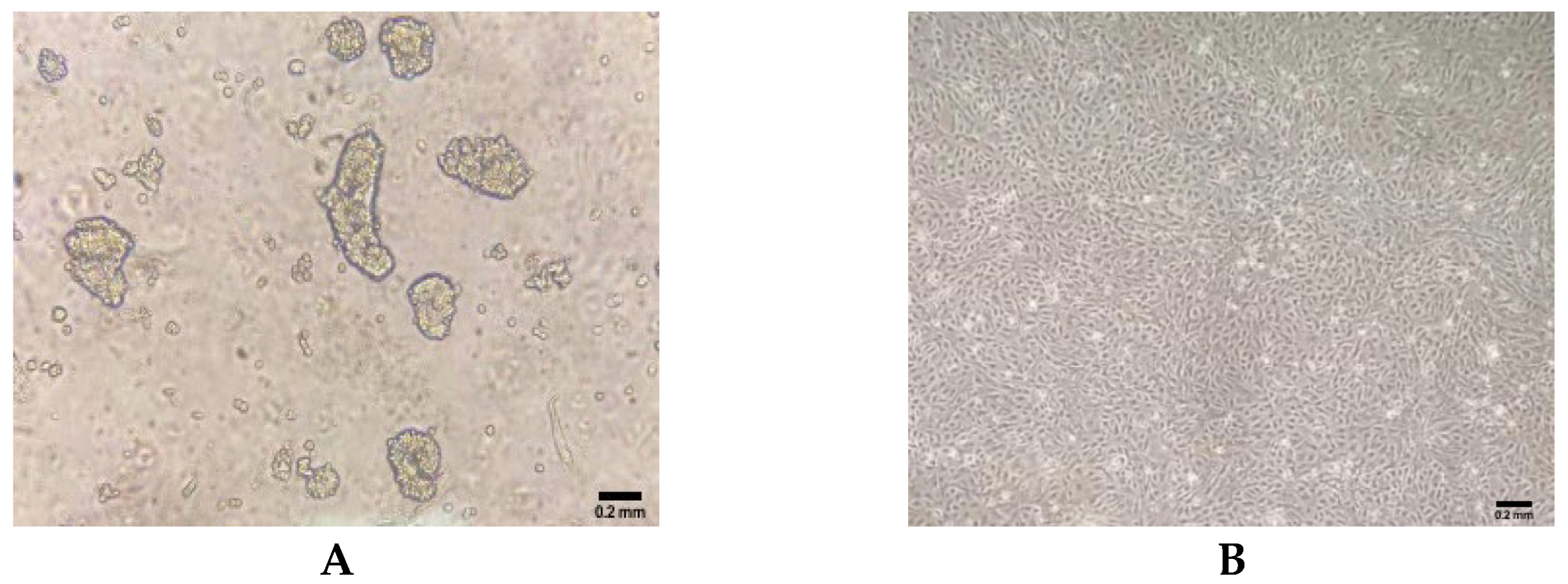 Molecules 27 03542 g001
