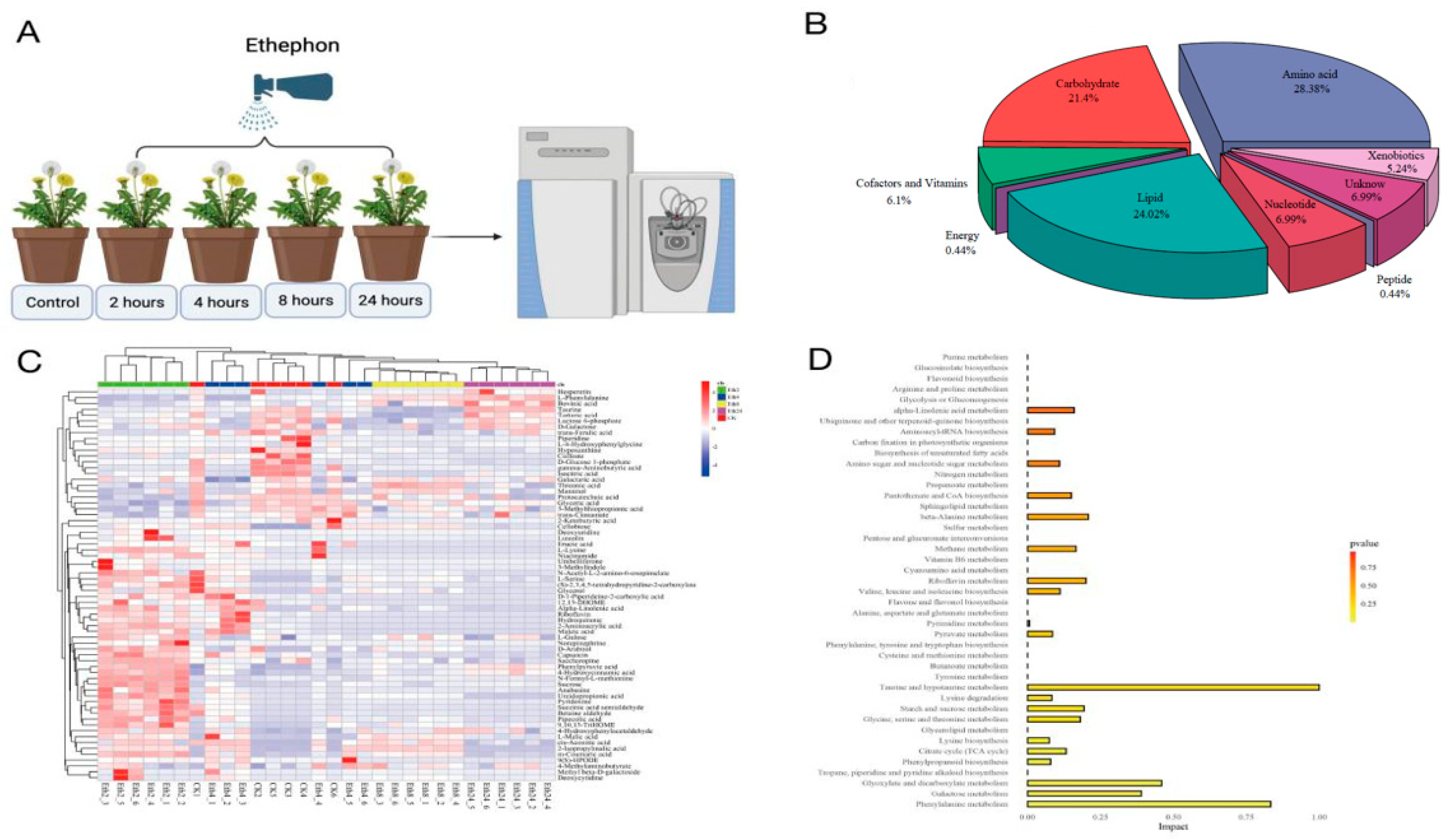 Molecules 27 03548 g001