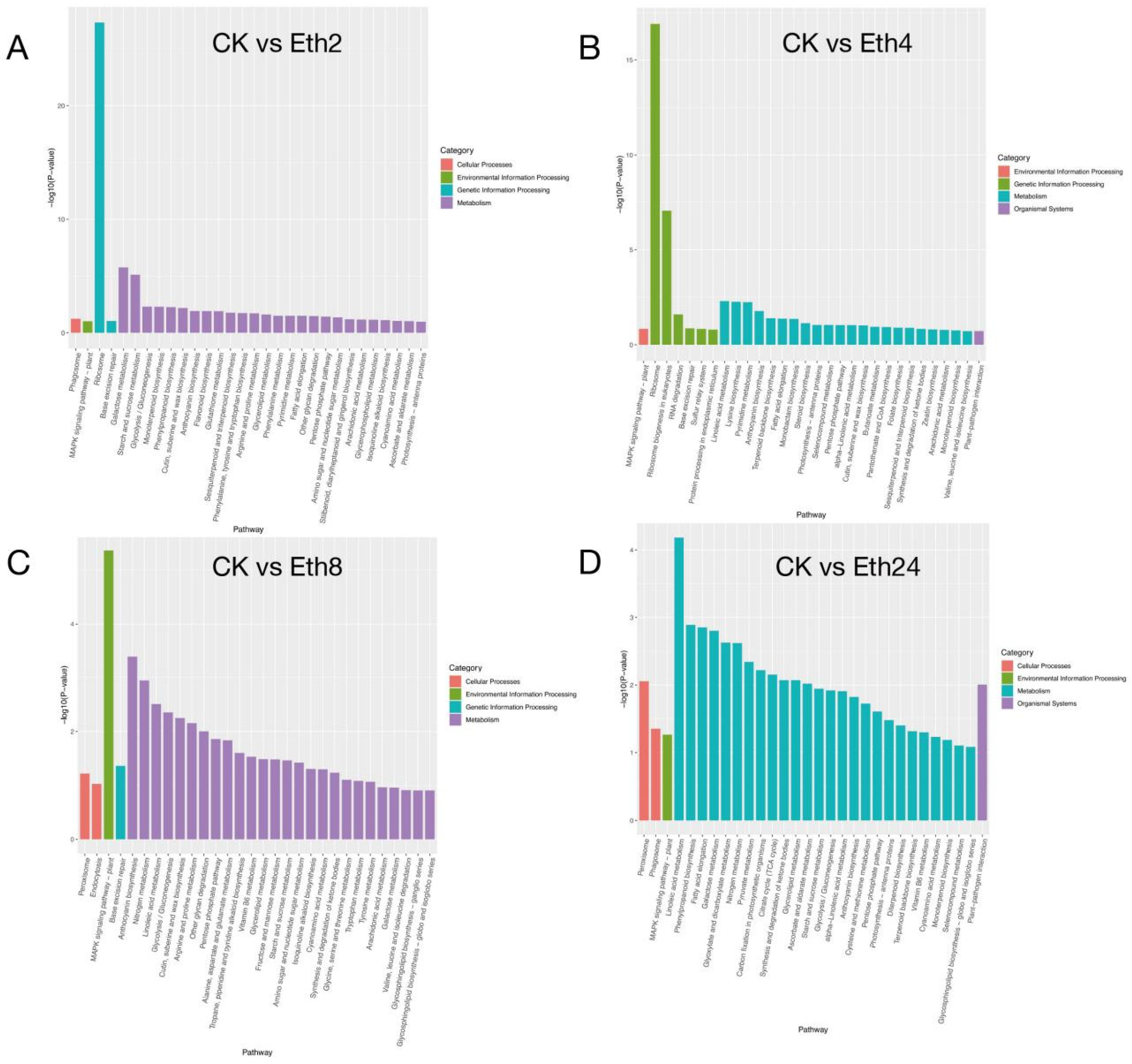 Molecules 27 03548 g004