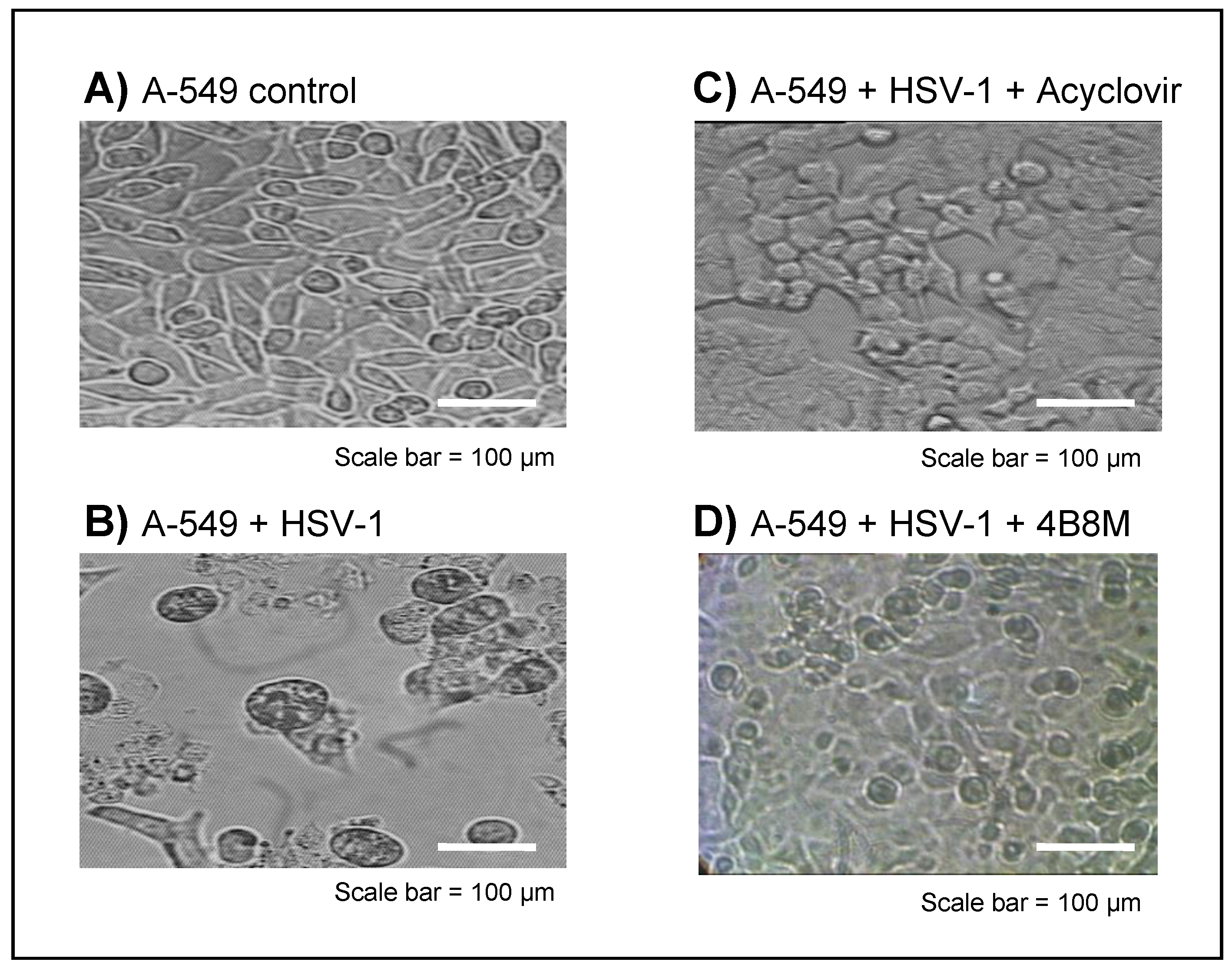 Molecules 27 03552 g007