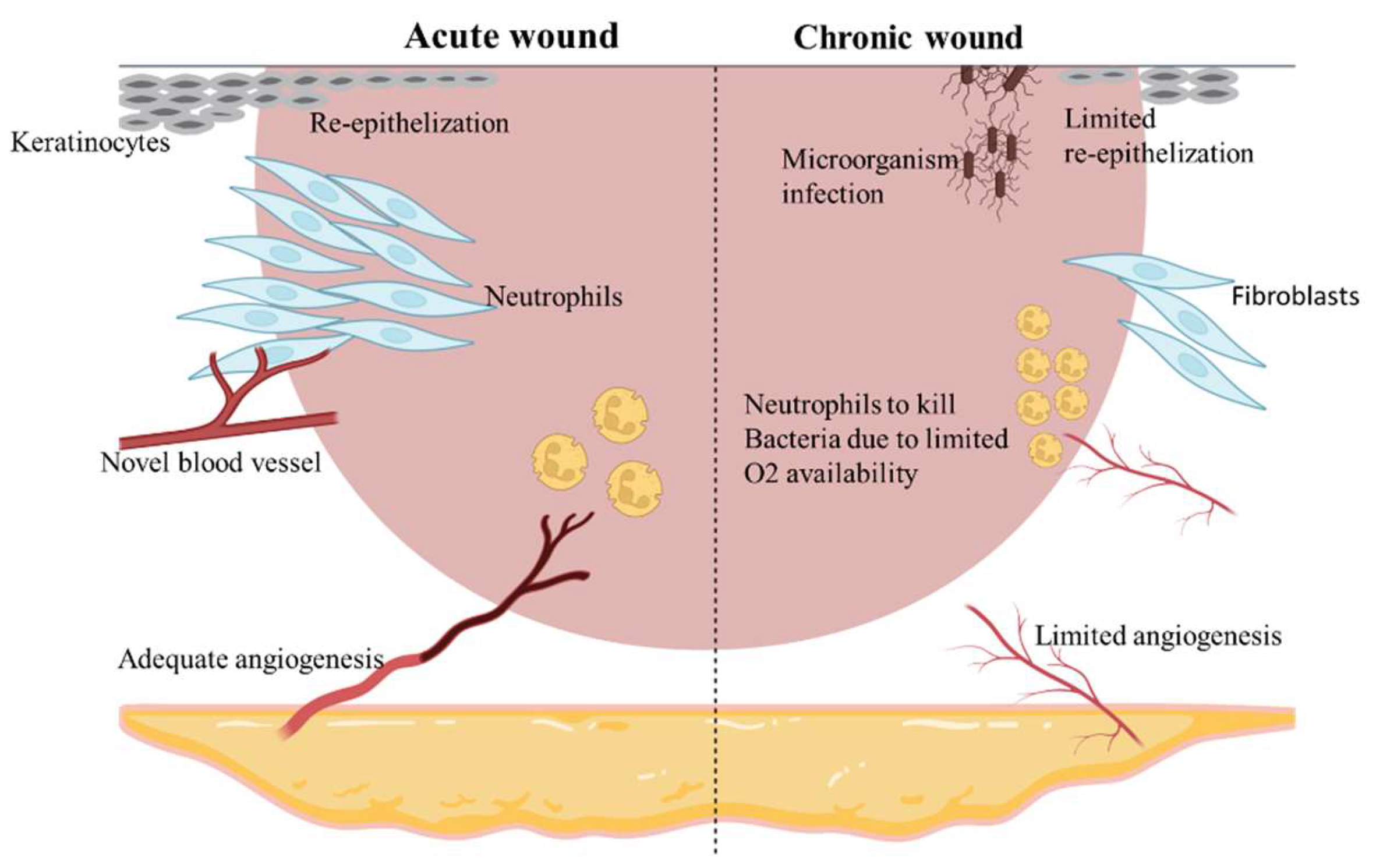 Molecules 27 03566 g002
