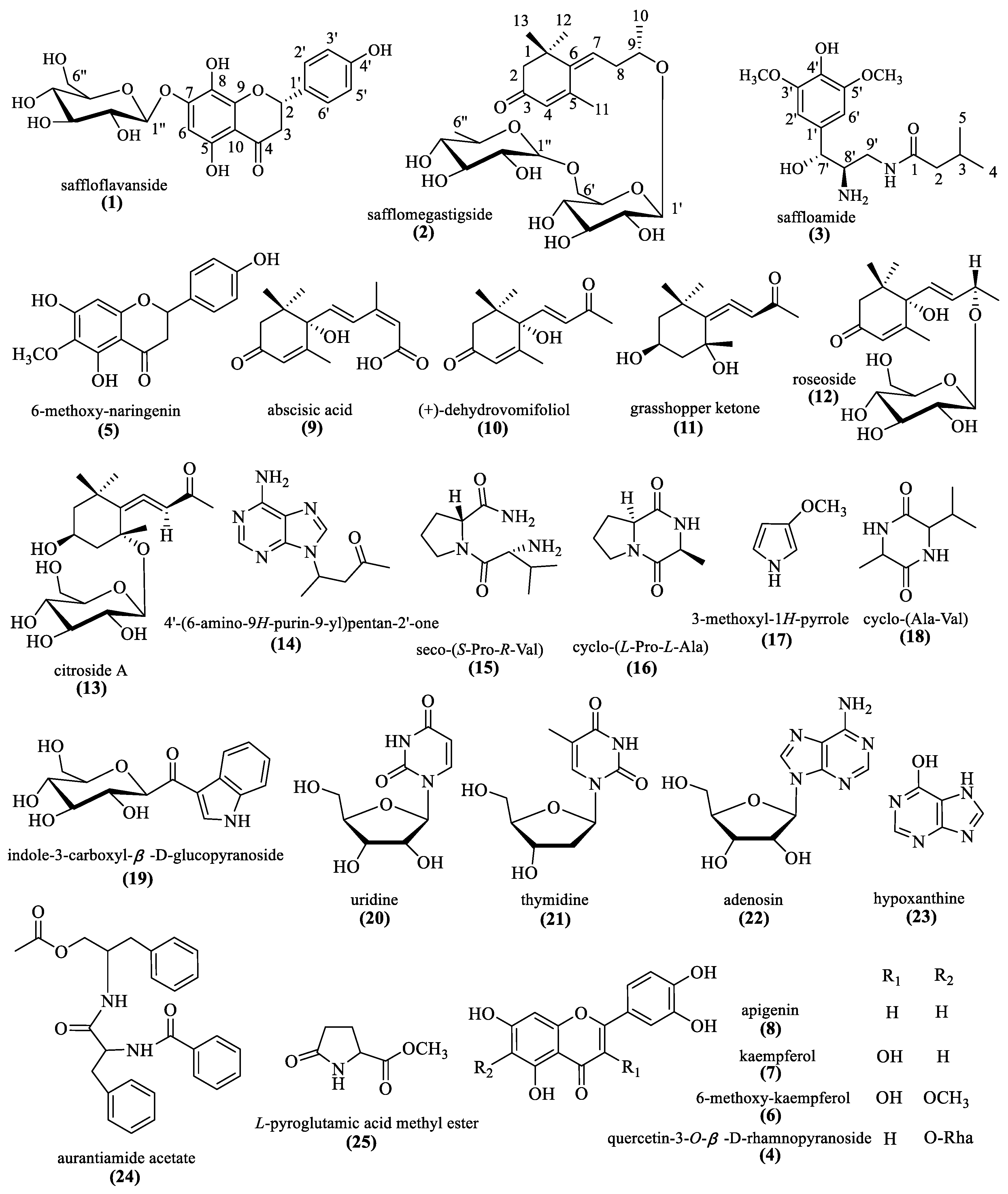 Molecules 27 03573 g001