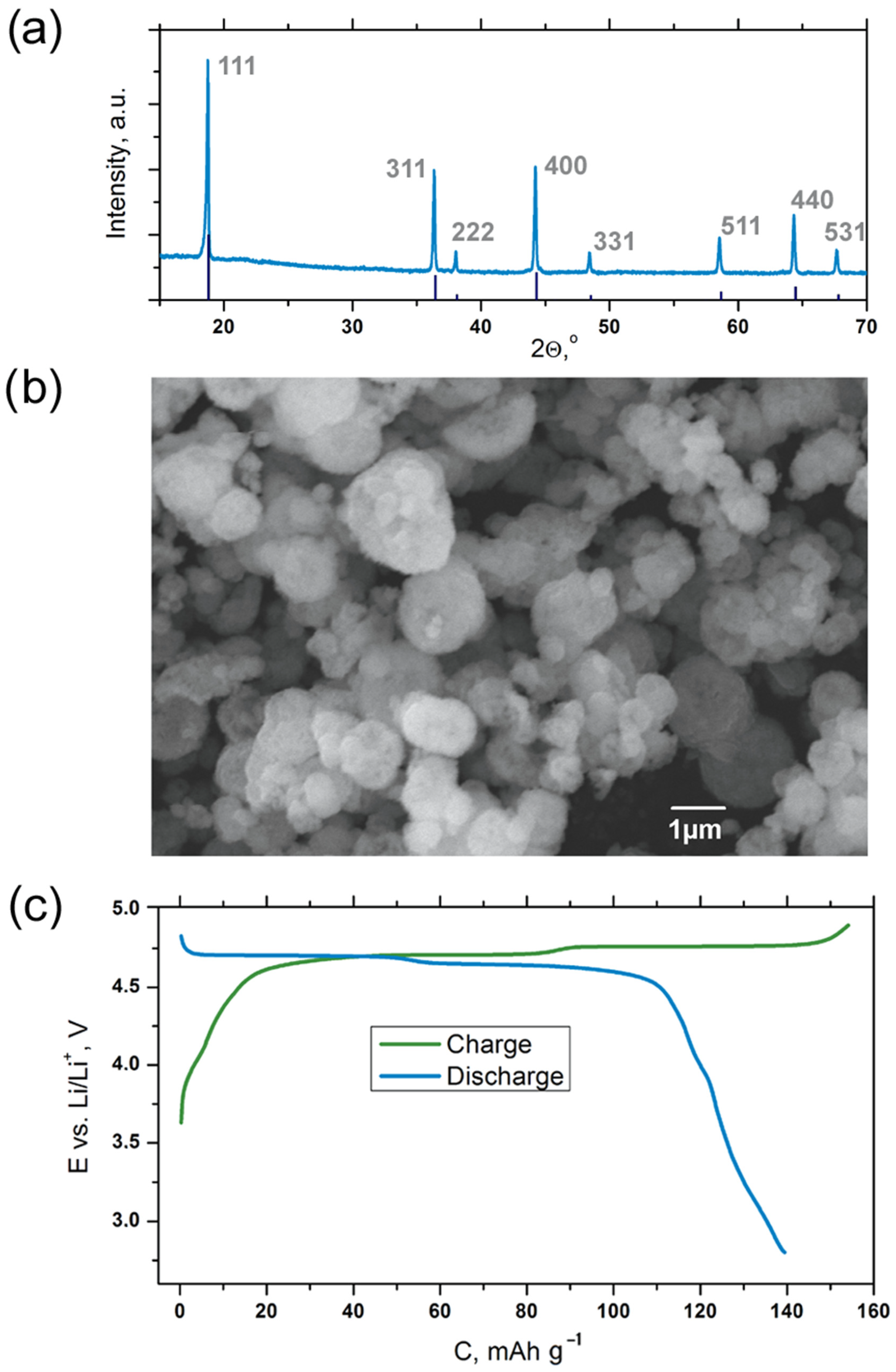 Molecules 27 03596 g002