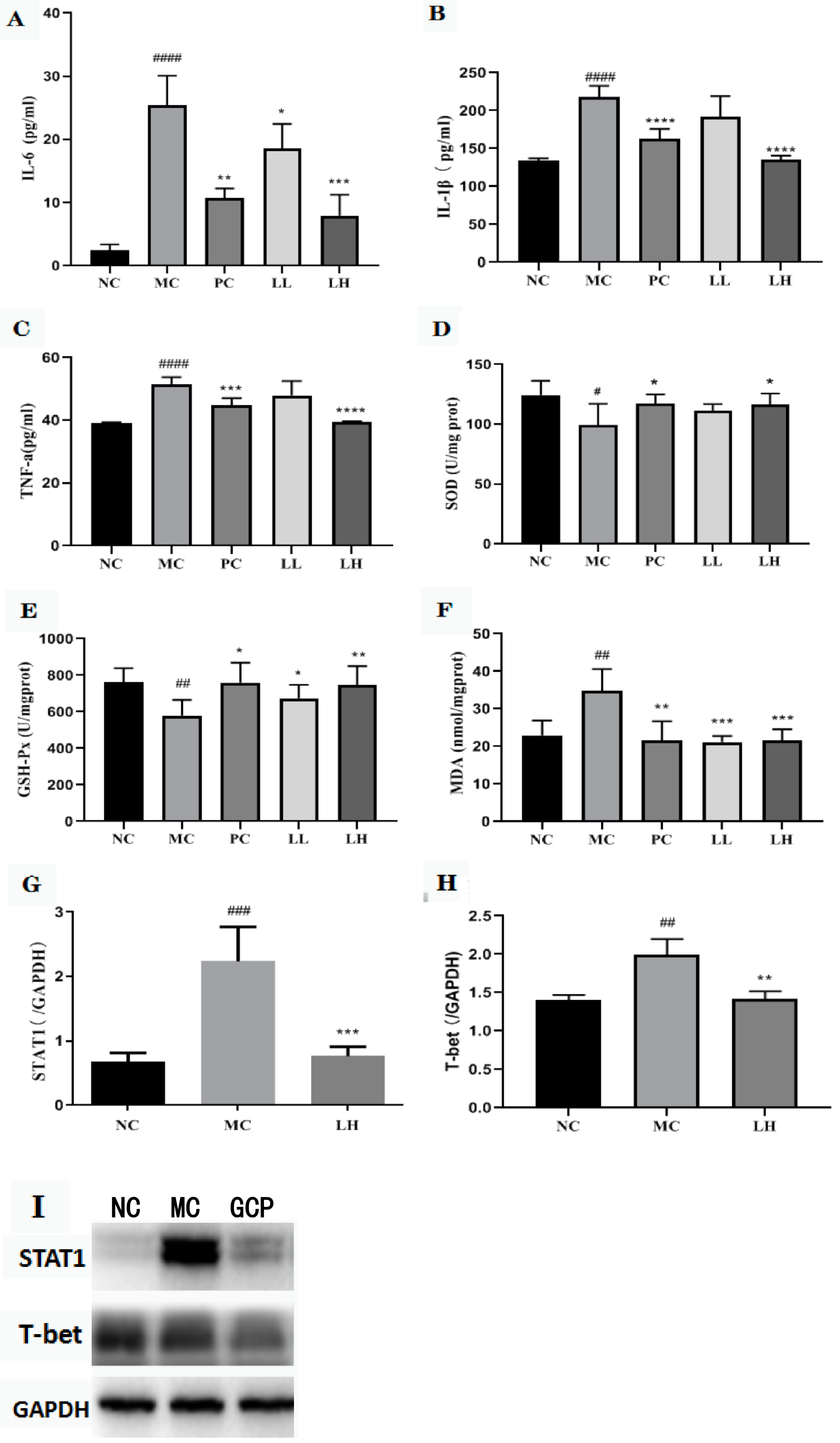 Molecules 27 03602 g002