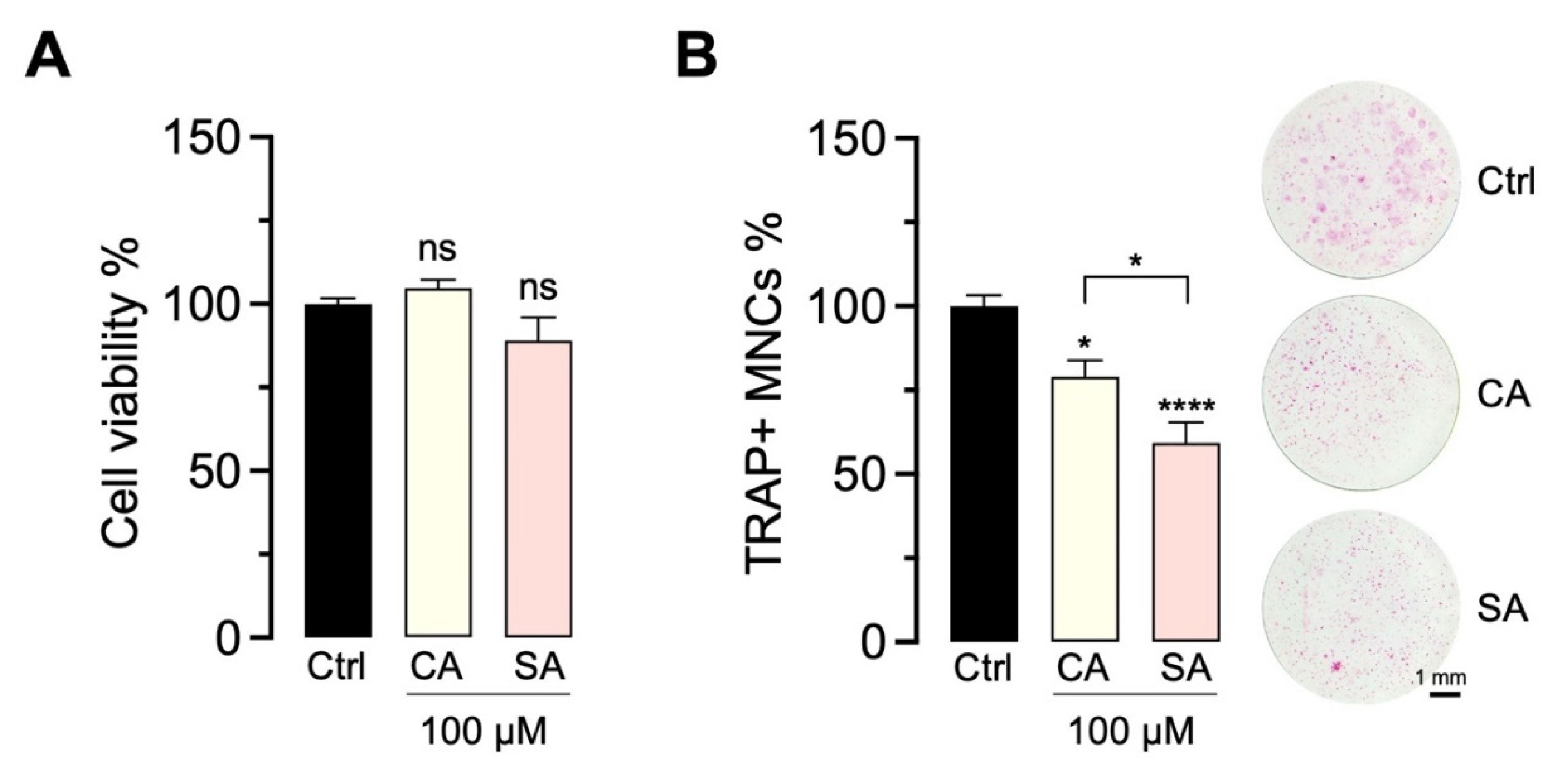 Molecules 27 03611 g007