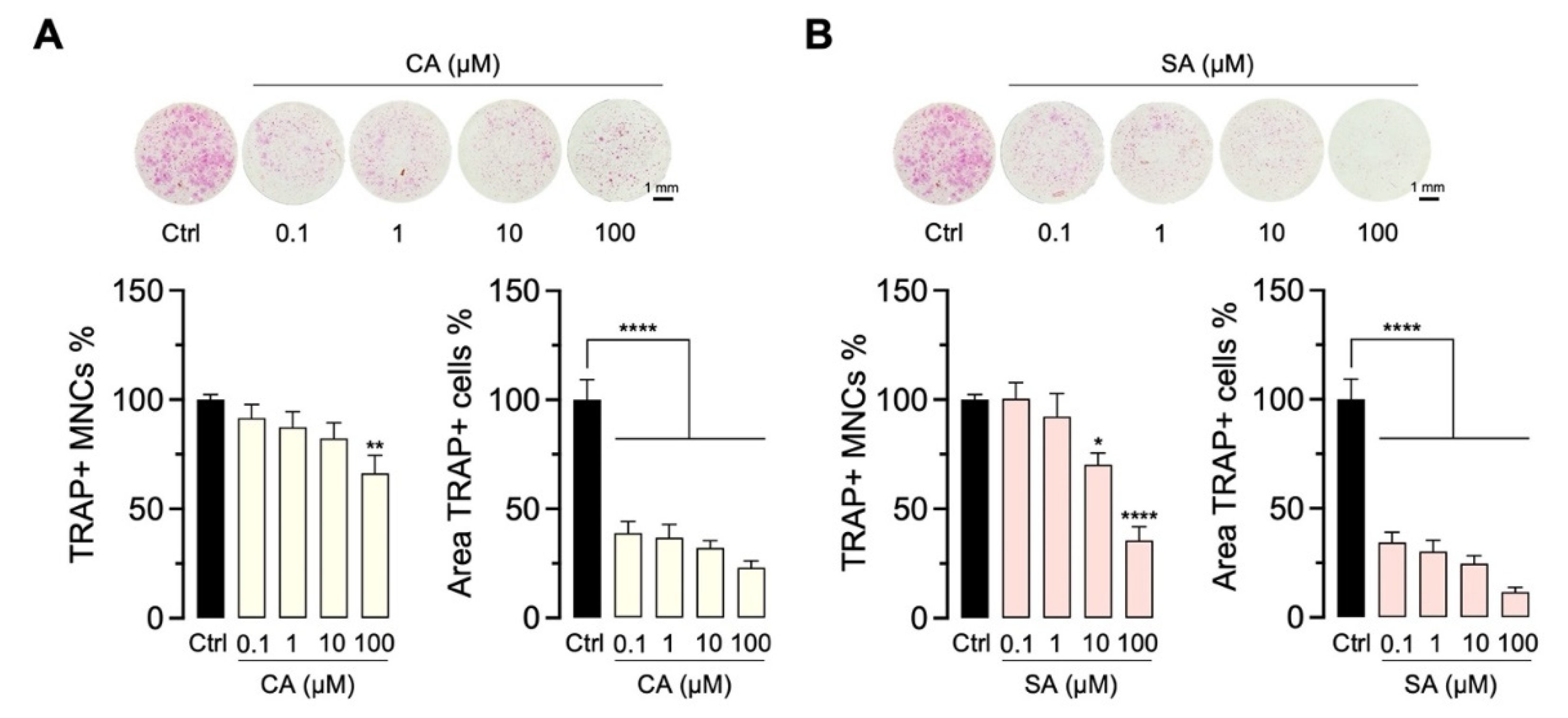Molecules 27 03611 g008