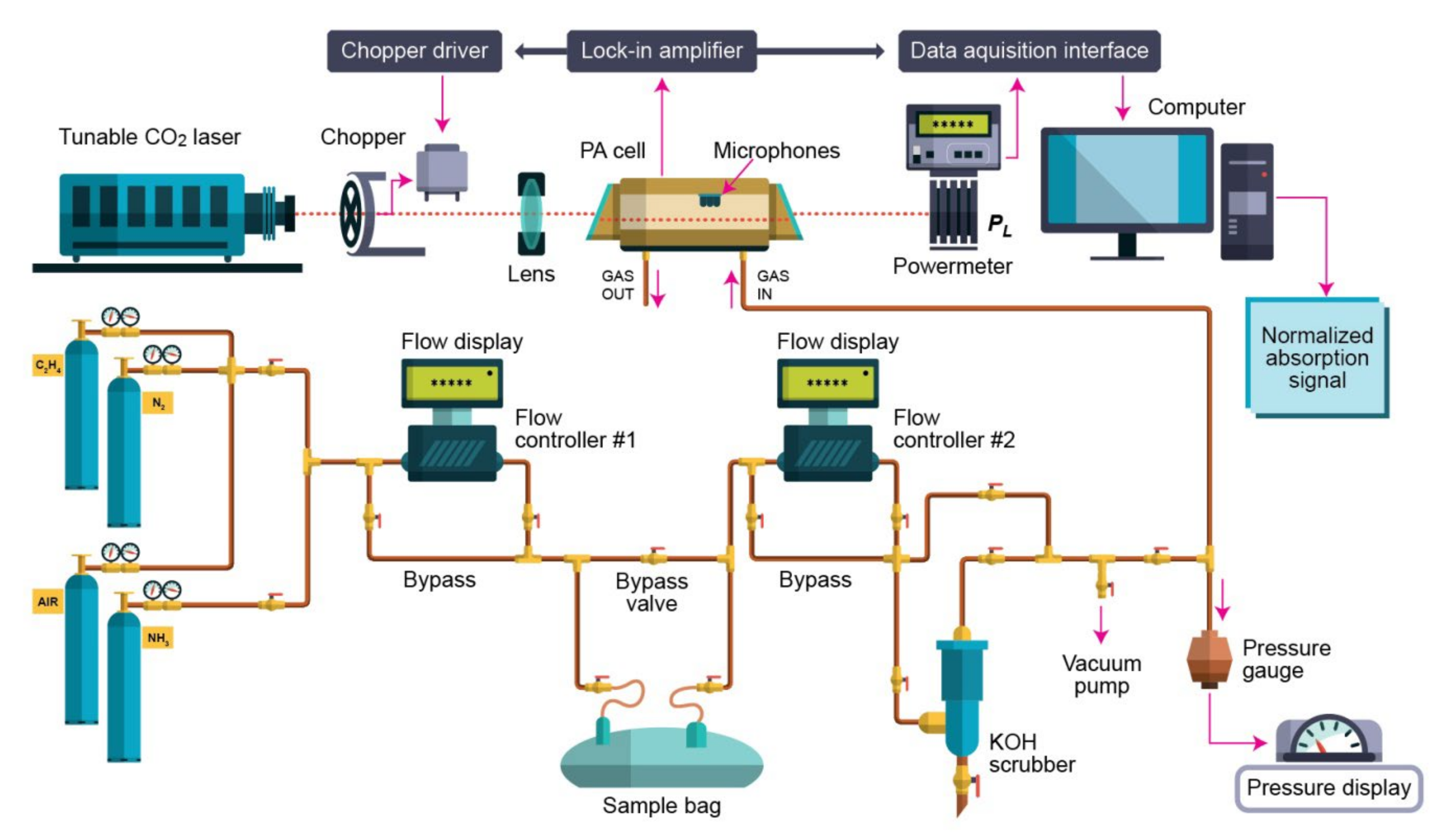 Molecules 27 03618 g004