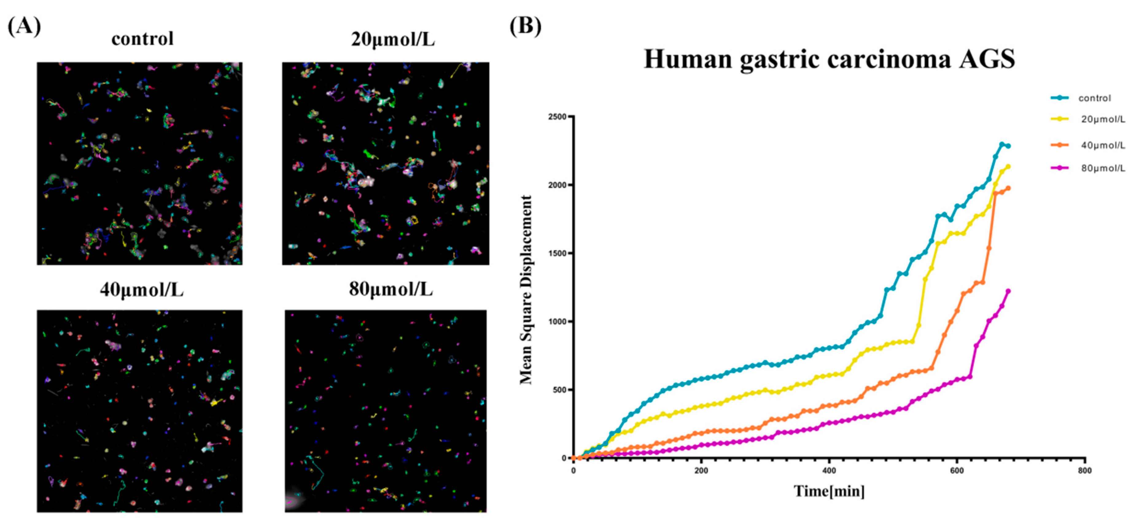 Molecules 27 03629 g005