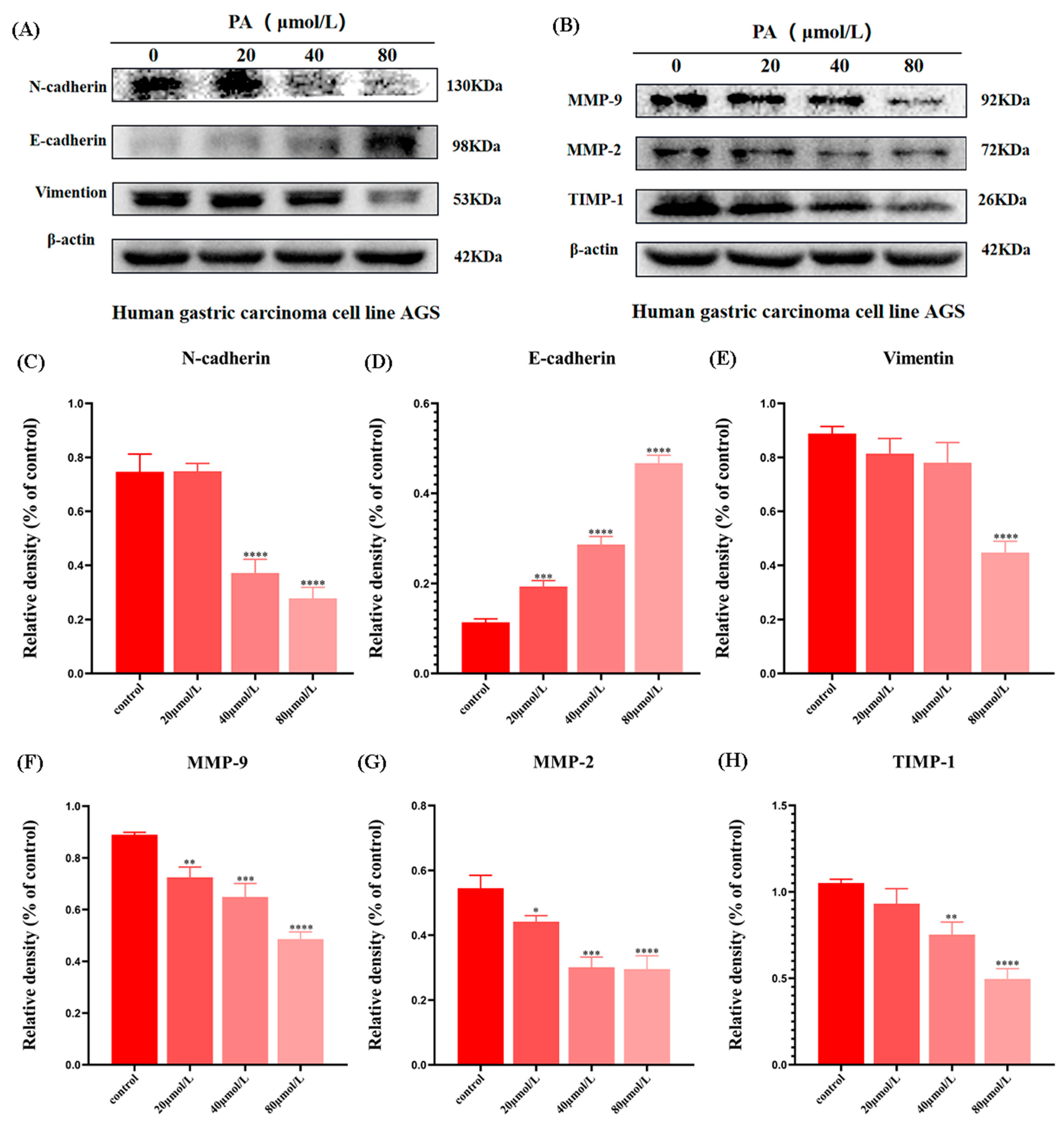 Molecules 27 03629 g007