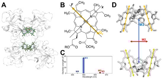 Molecules 27 03654 g001