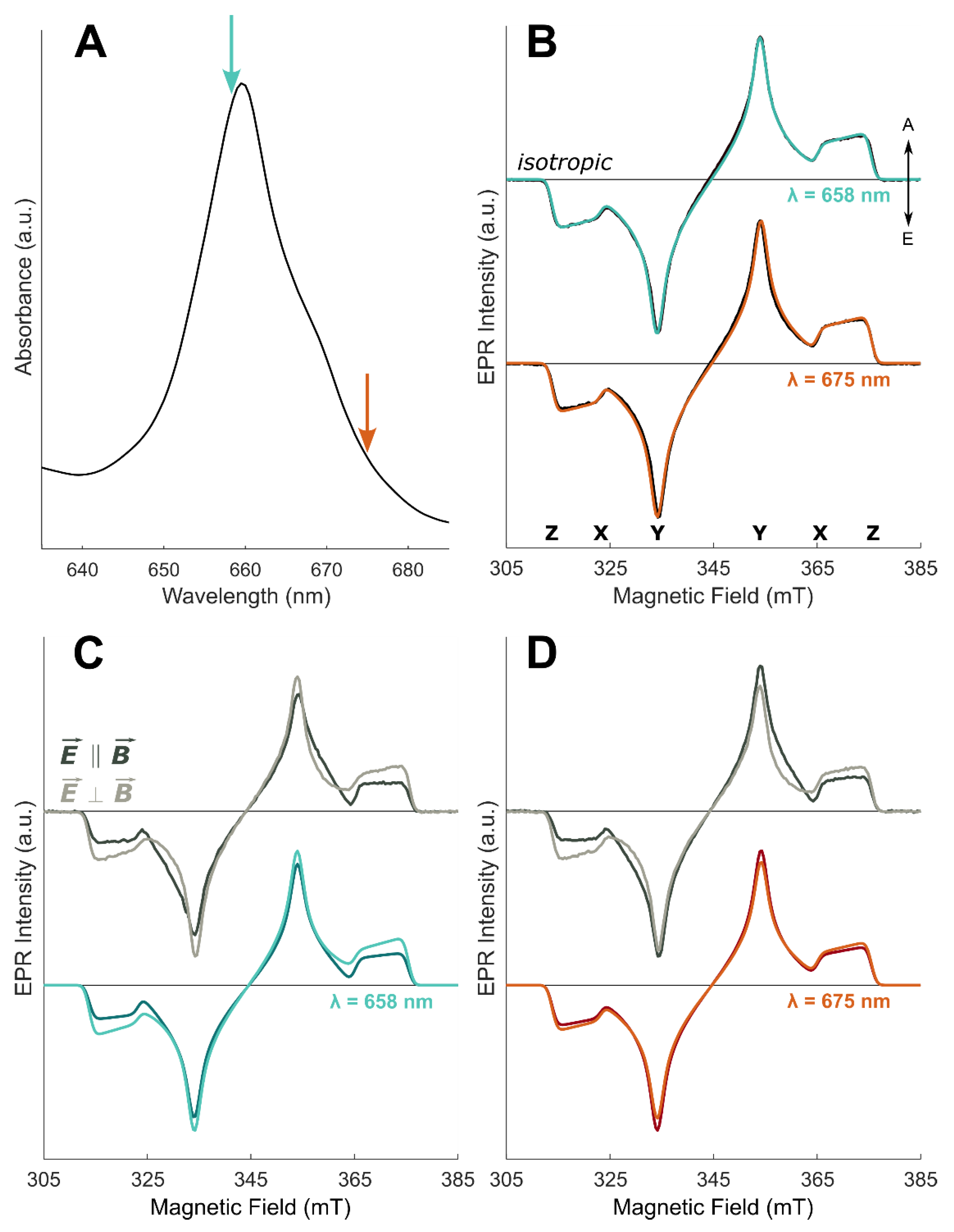 Molecules 27 03654 g005 Molecules 27 03654 g005
