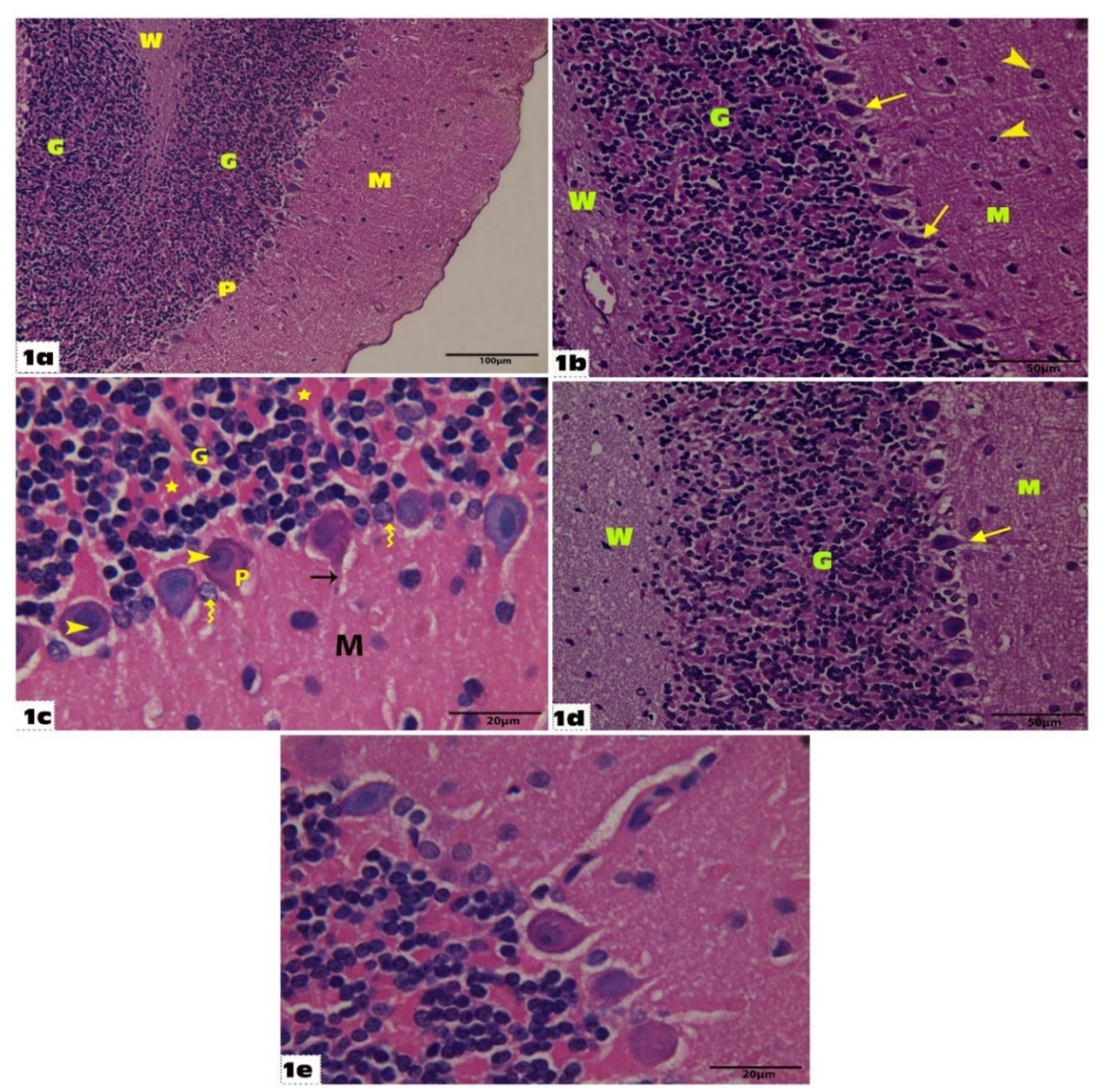 Molecules 27 03659 g001