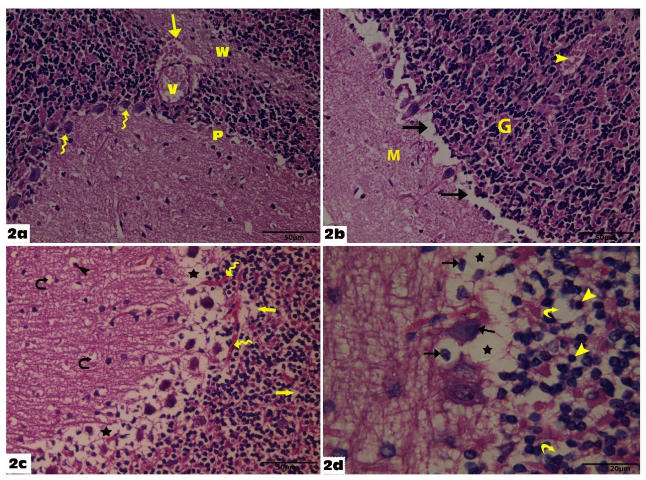 Molecules 27 03659 g002