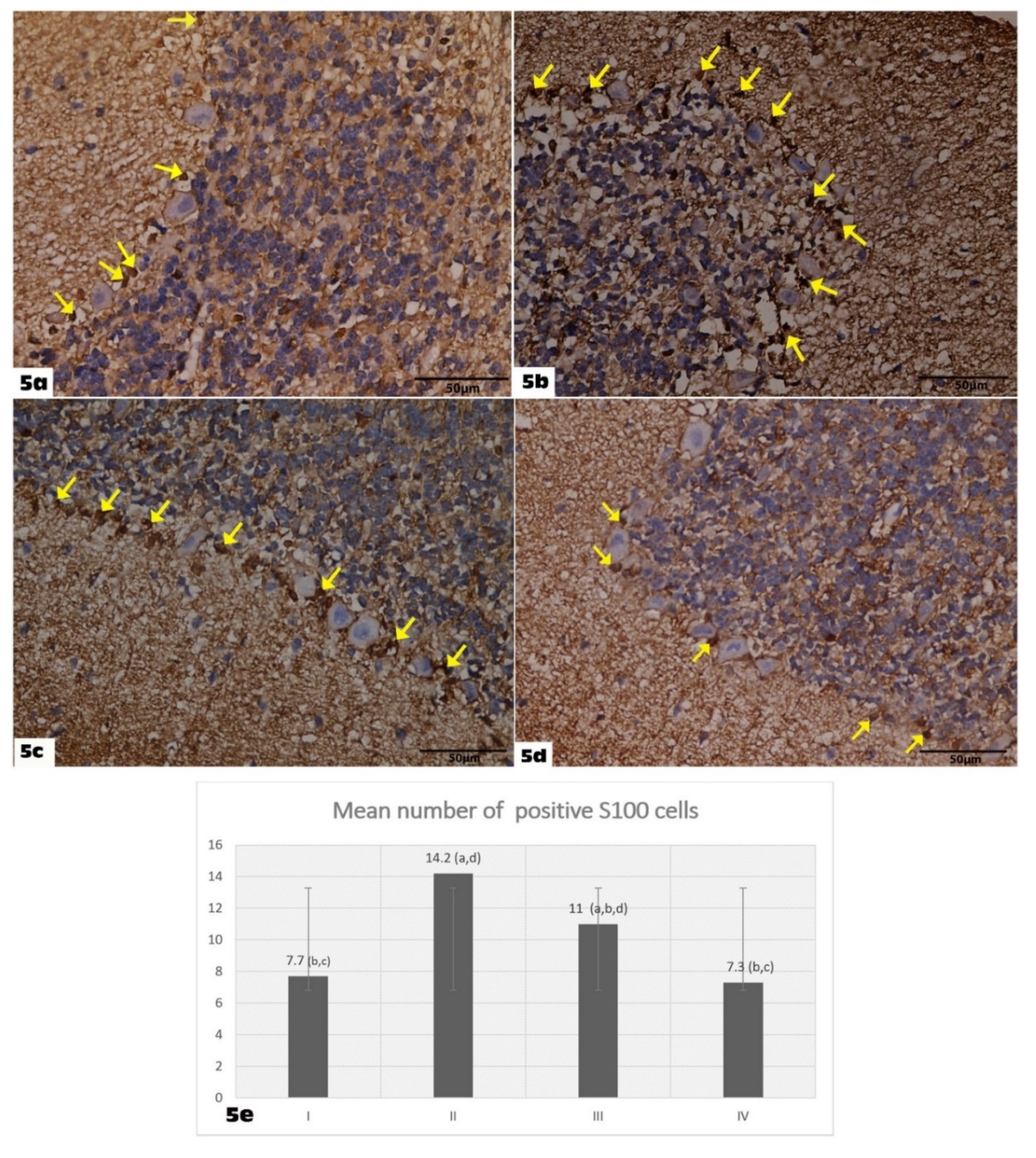 Molecules 27 03659 g005