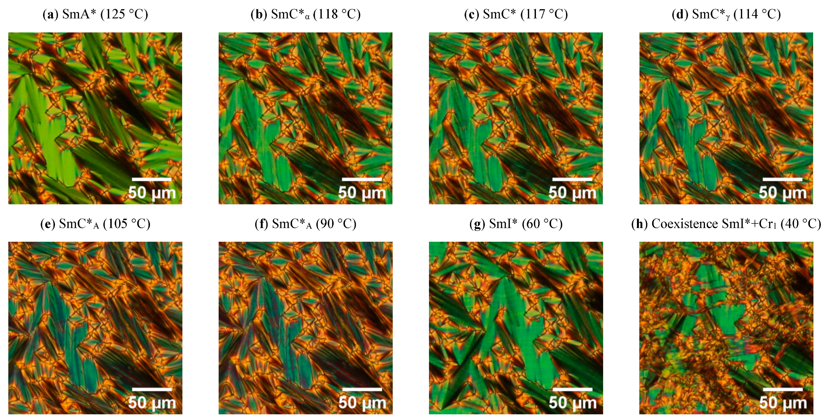 Molecules 27 03663 g001