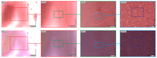 Molecules 27 03663 g007 550