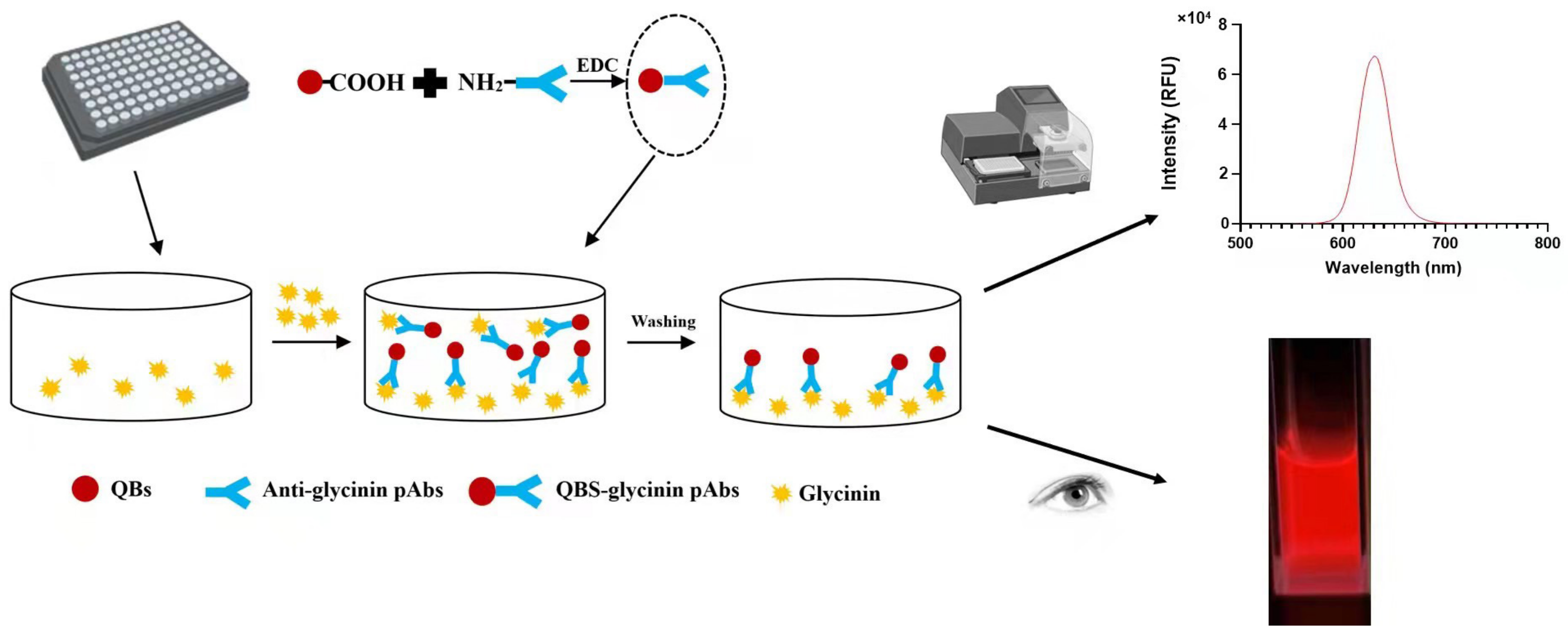 Molecules 27 03664 g001