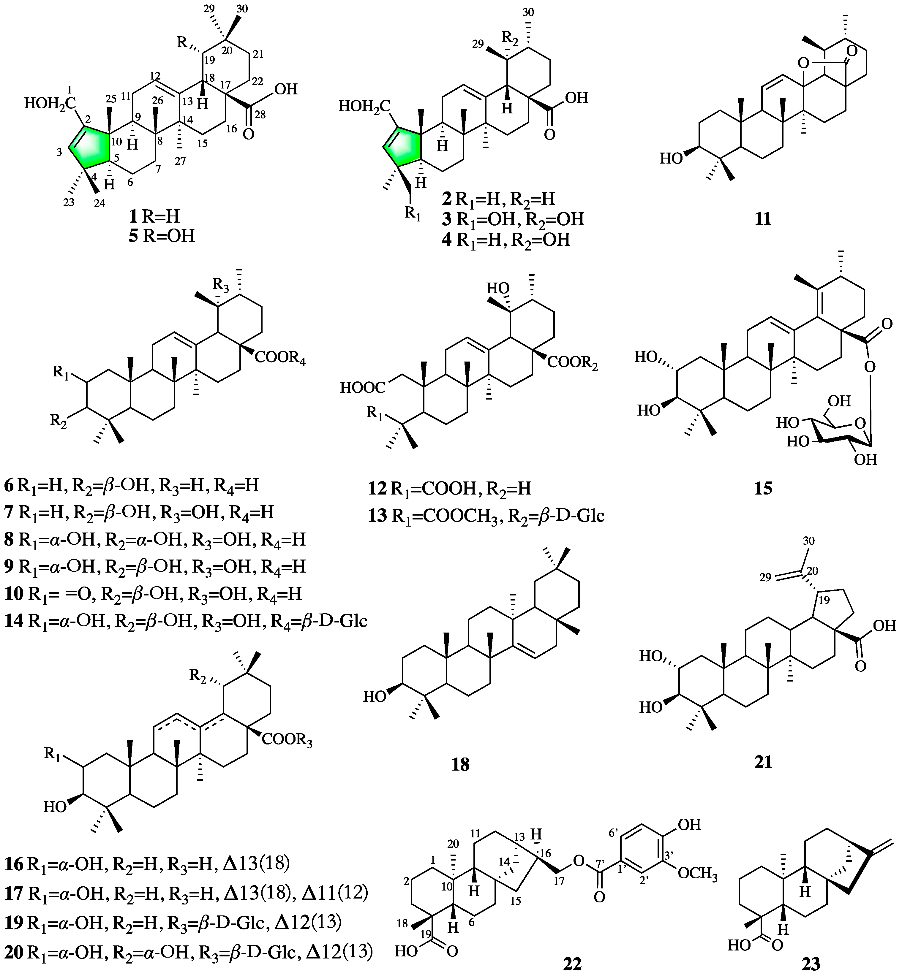 Molecules 27 03665 g001