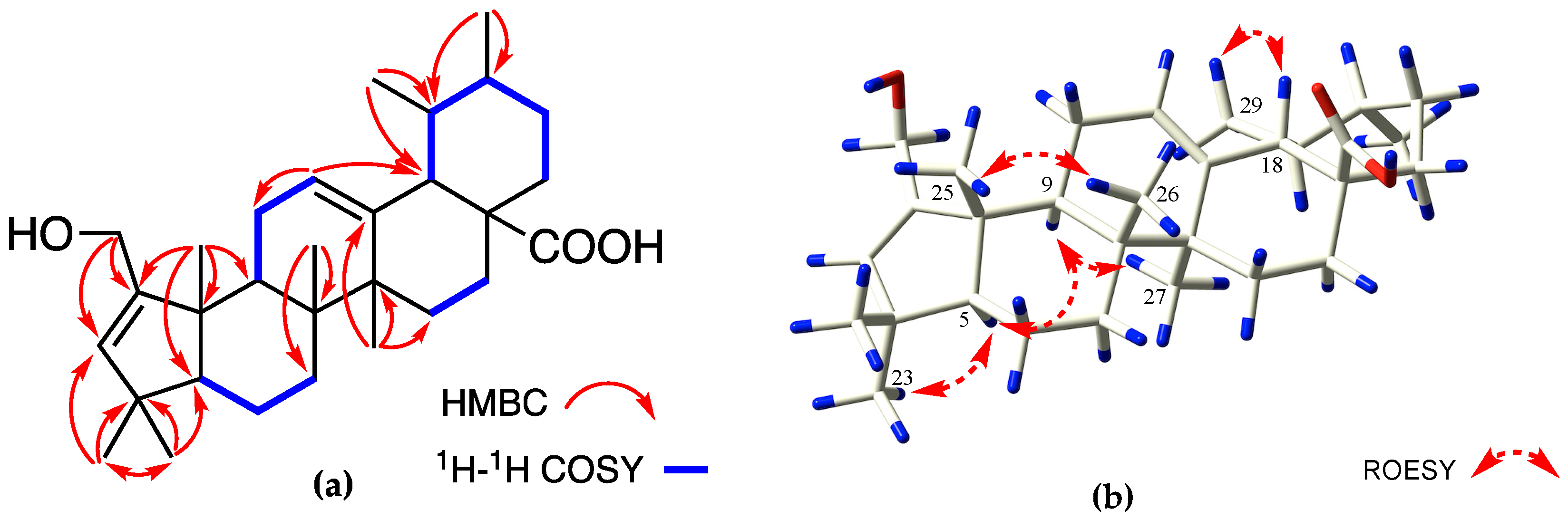 Molecules 27 03665 g004