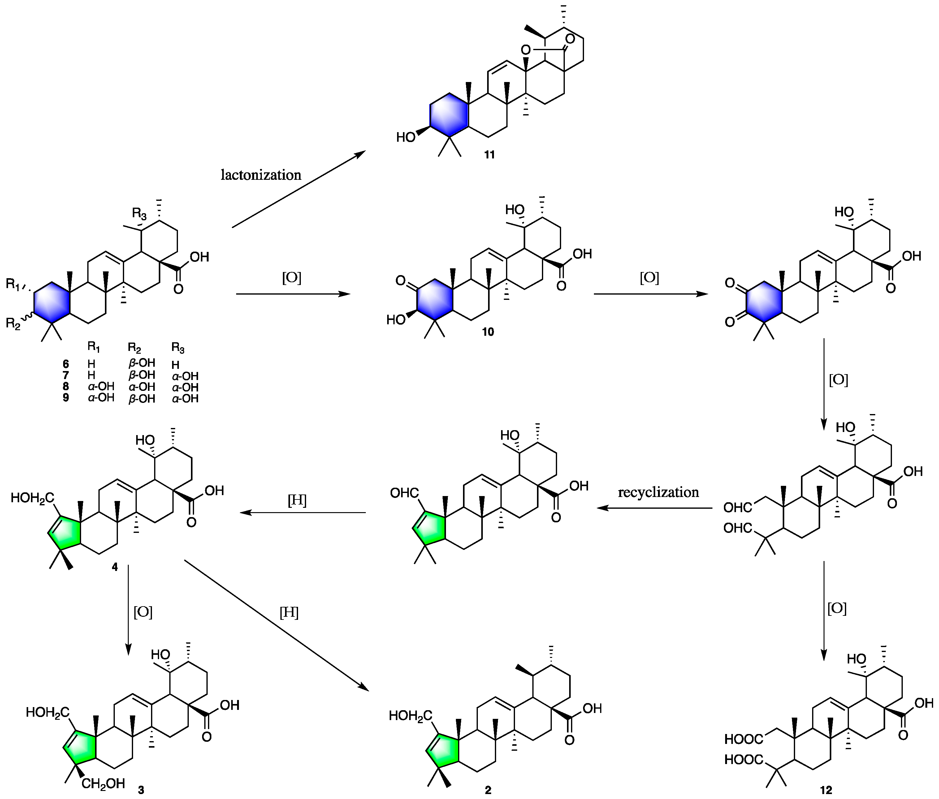 Molecules 27 03665 g008