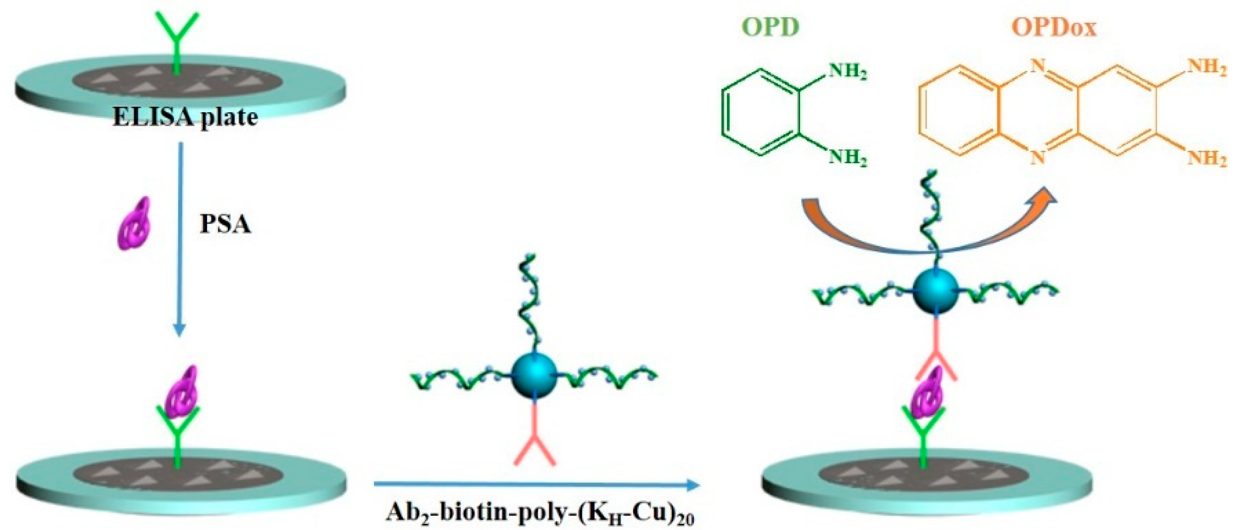 Molecules 27 03675 sch002