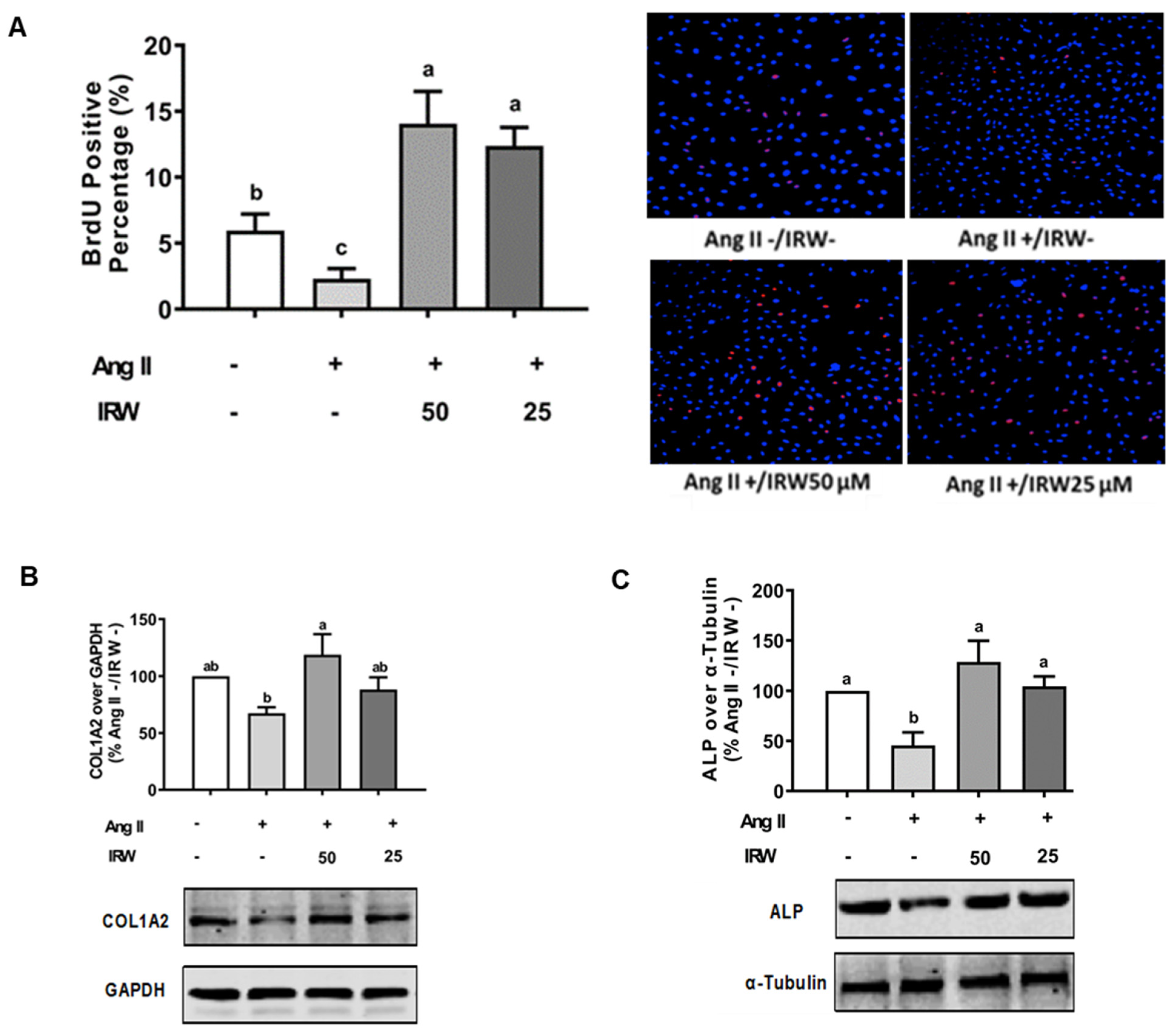 Molecules 27 03684 g001a