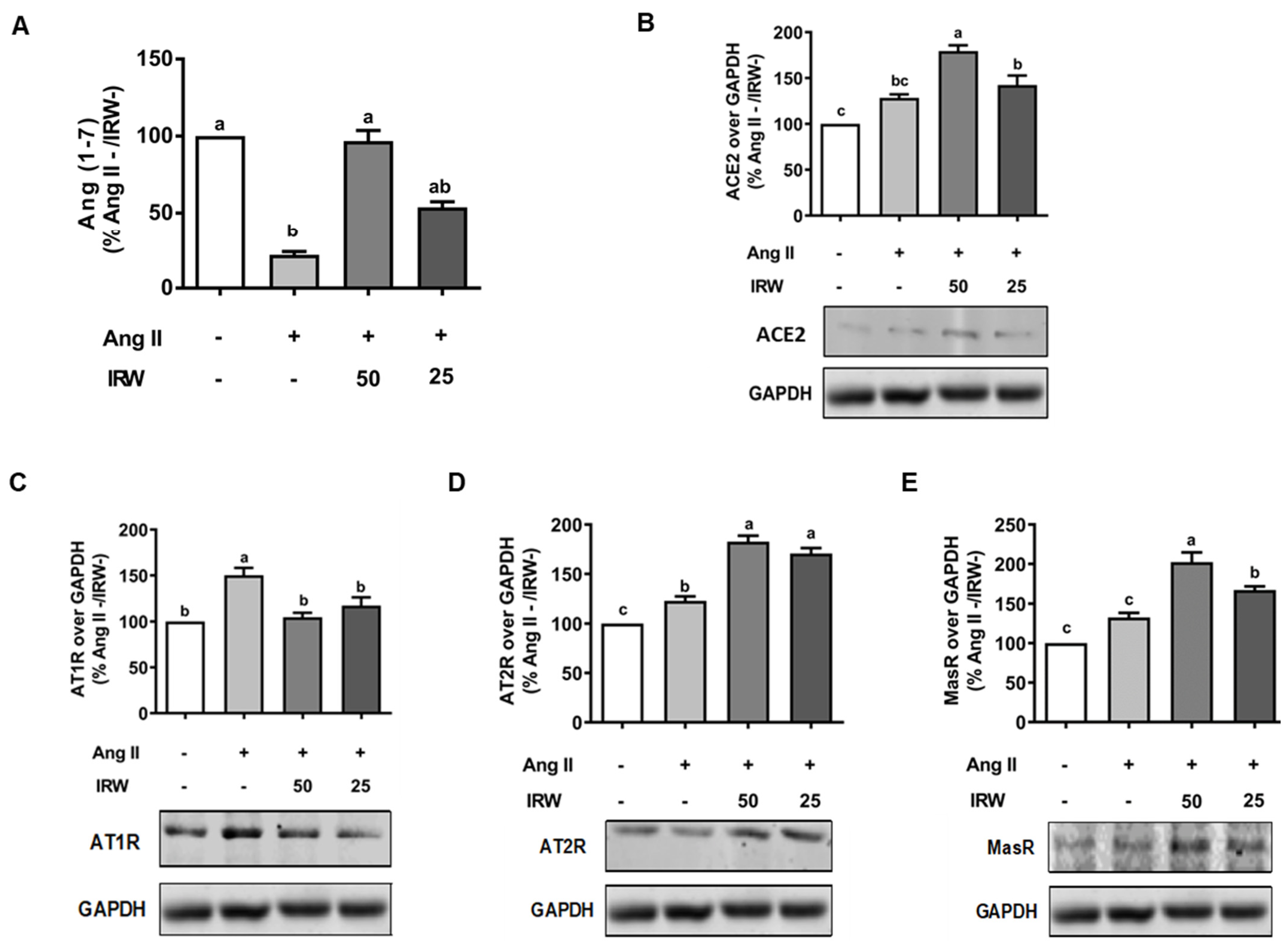 Molecules 27 03684 g003