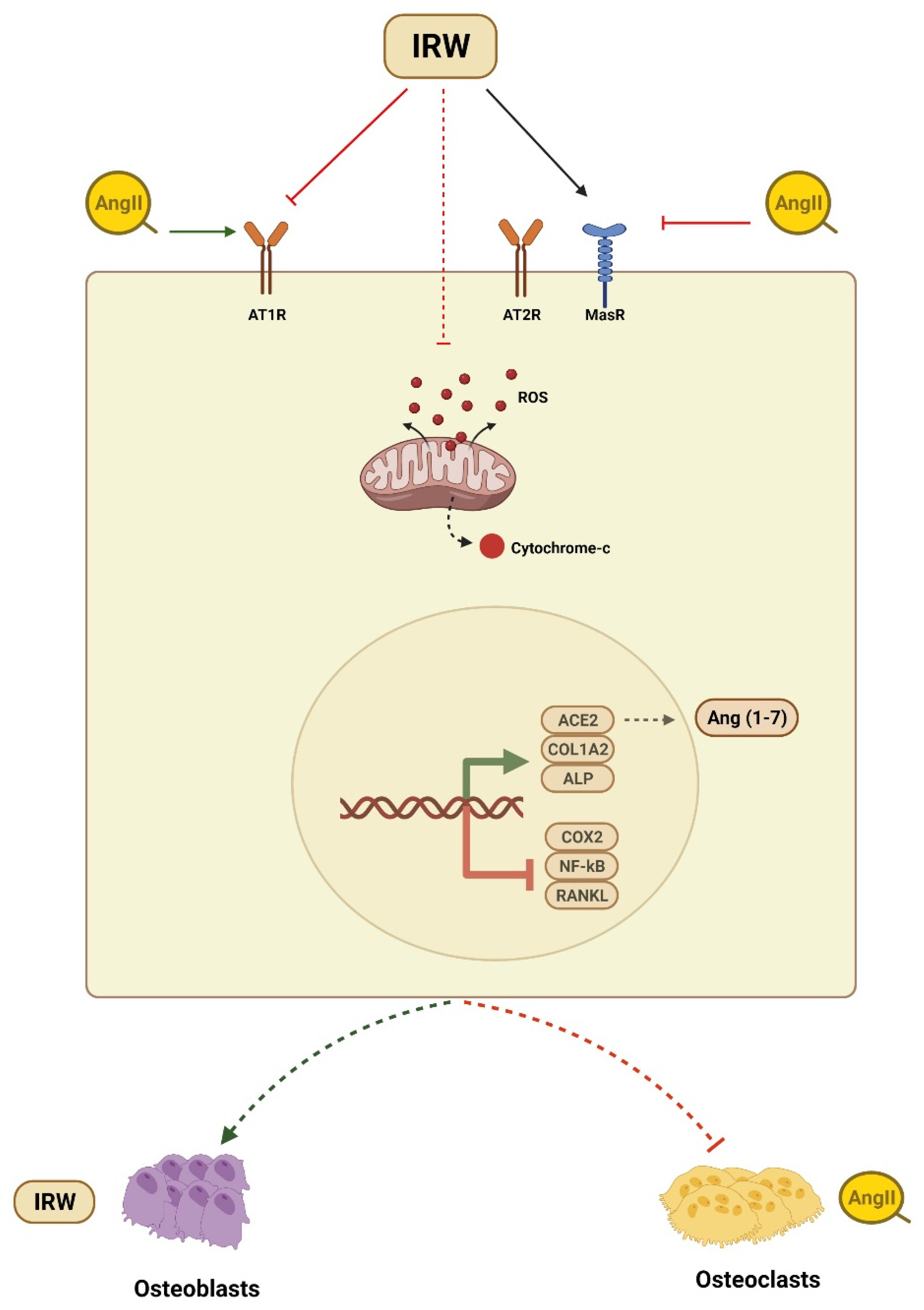 Molecules 27 03684 g006