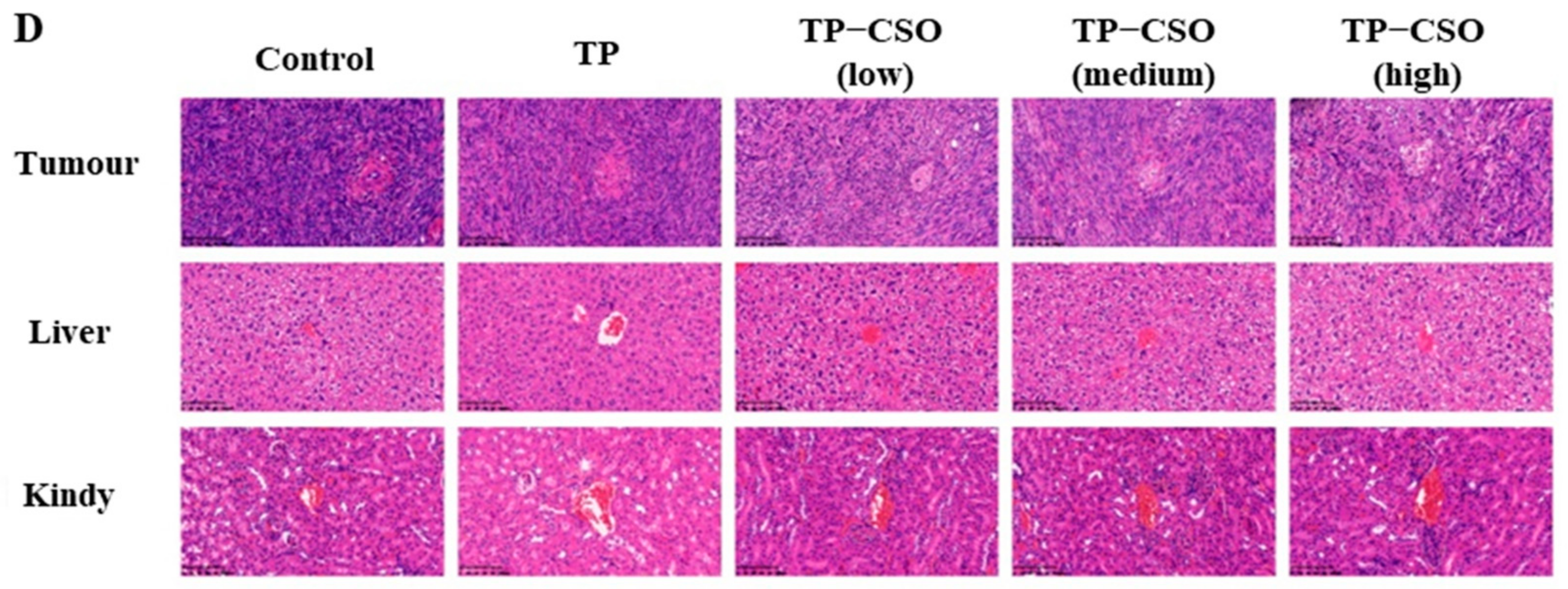 Molecules 27 03686 g005b
