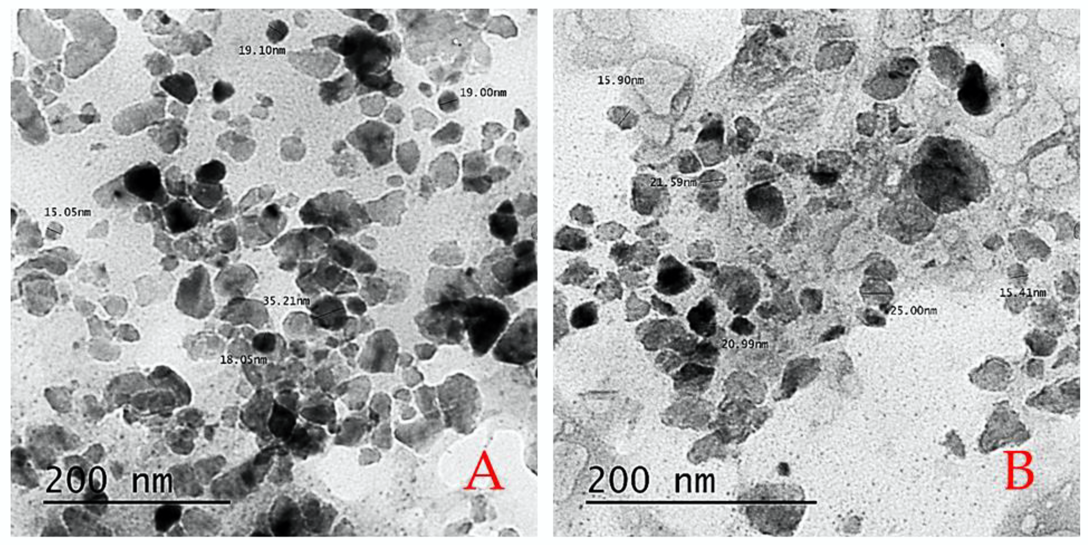 Molecules 27 03687 g009 Molecules 27 03687 g009