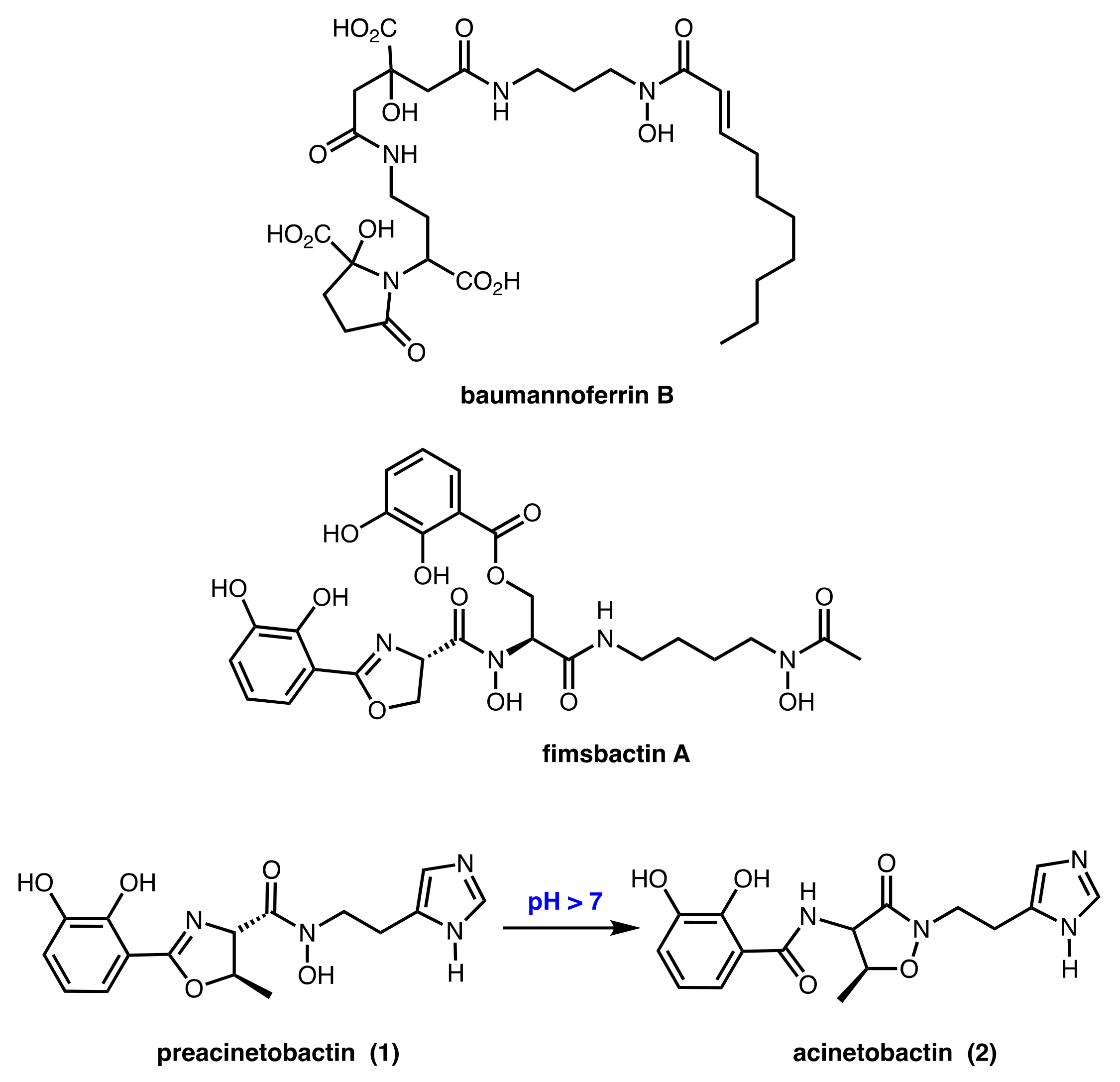 Molecules 27 03688 g001