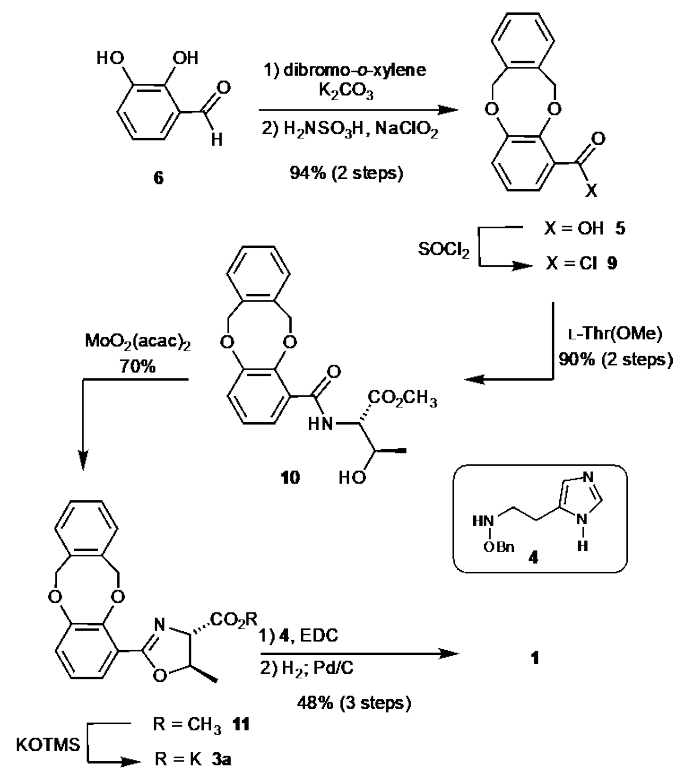 Molecules 27 03688 sch001