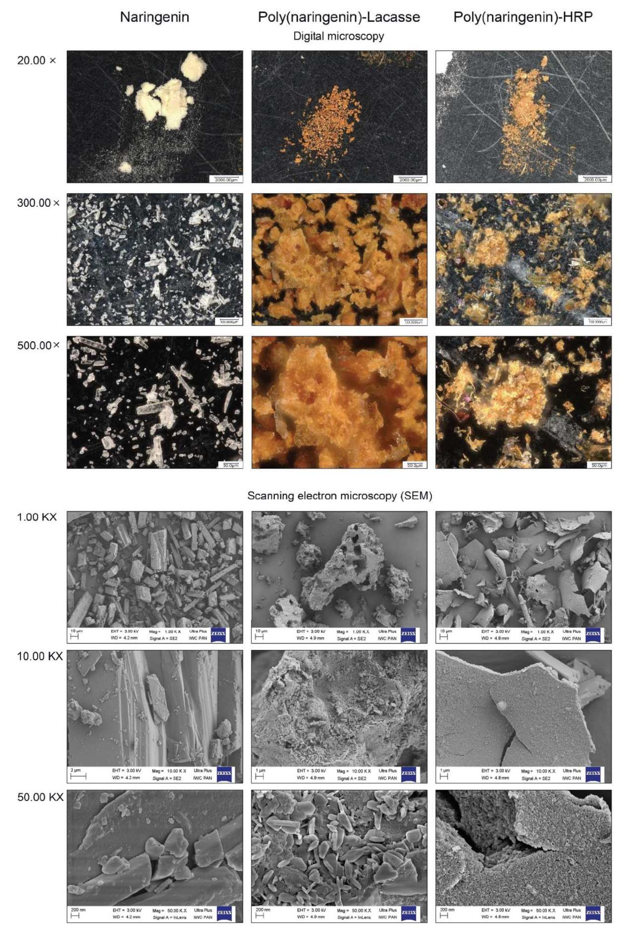 Molecules 27 03702 g005