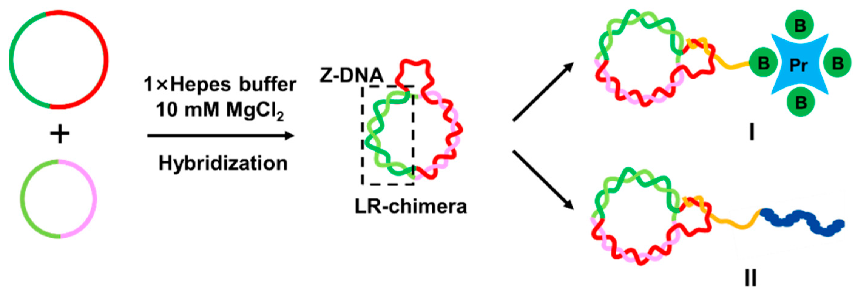 Molecules 27 03706 g001