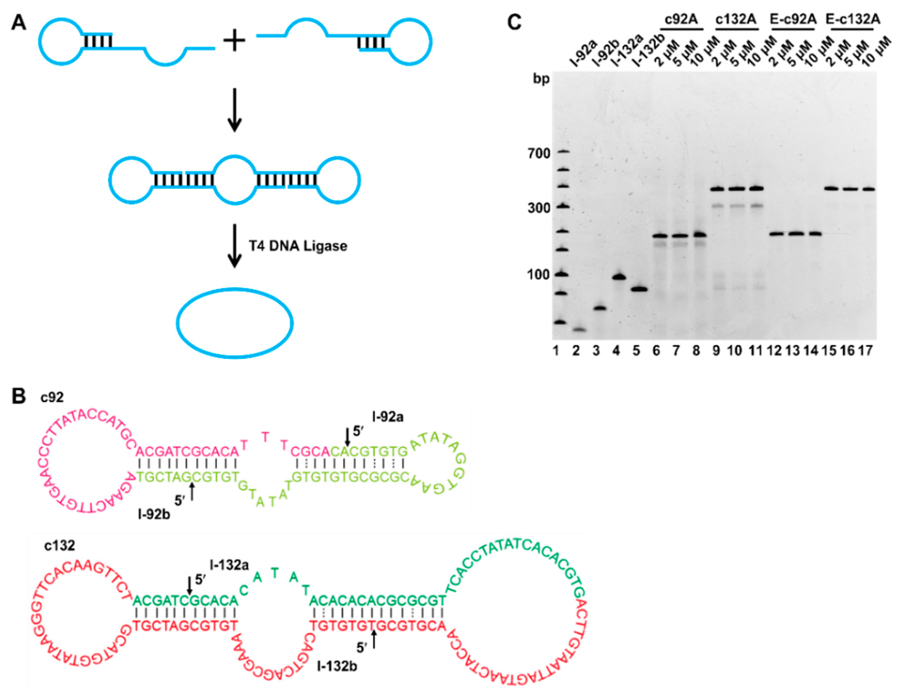 Molecules 27 03706 g002