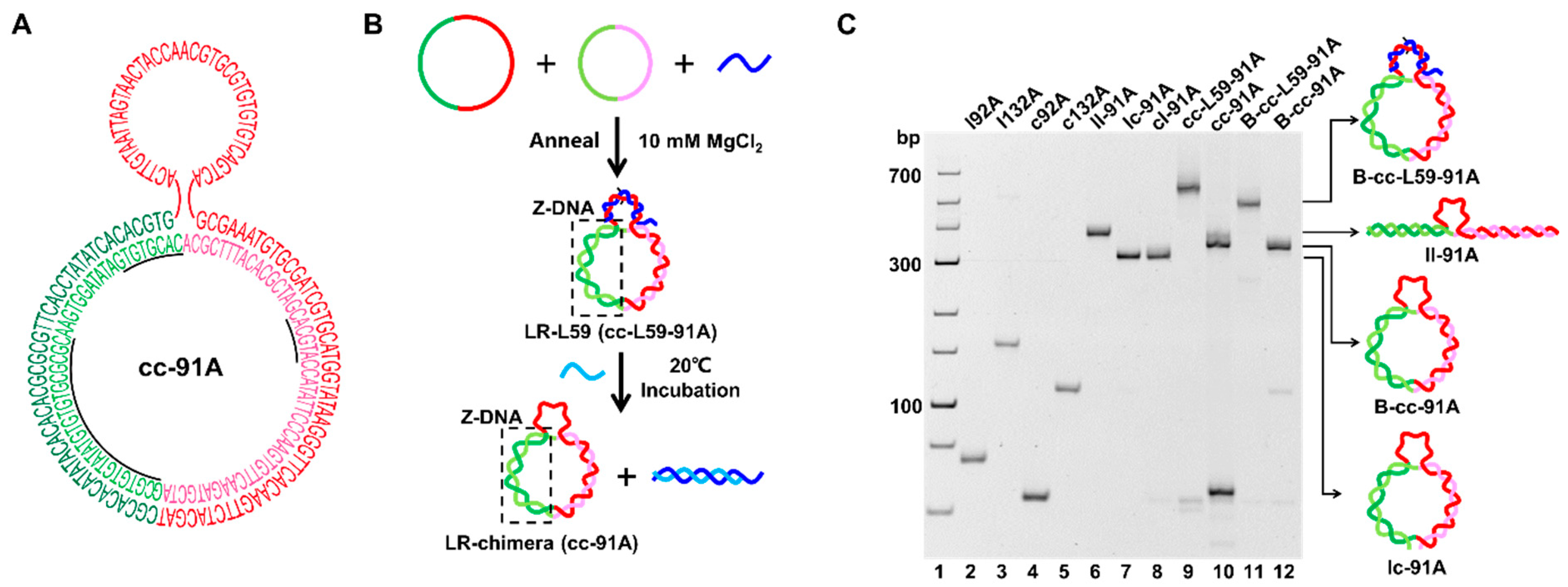 Molecules 27 03706 g003