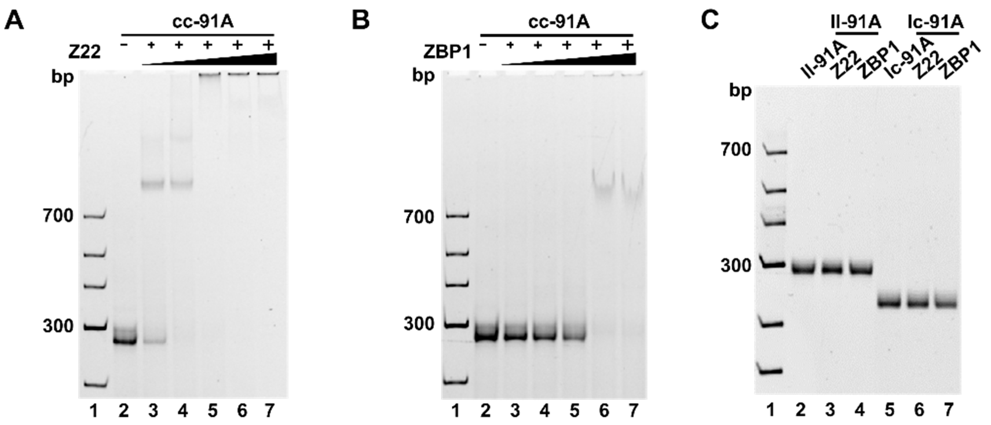 Molecules 27 03706 g004