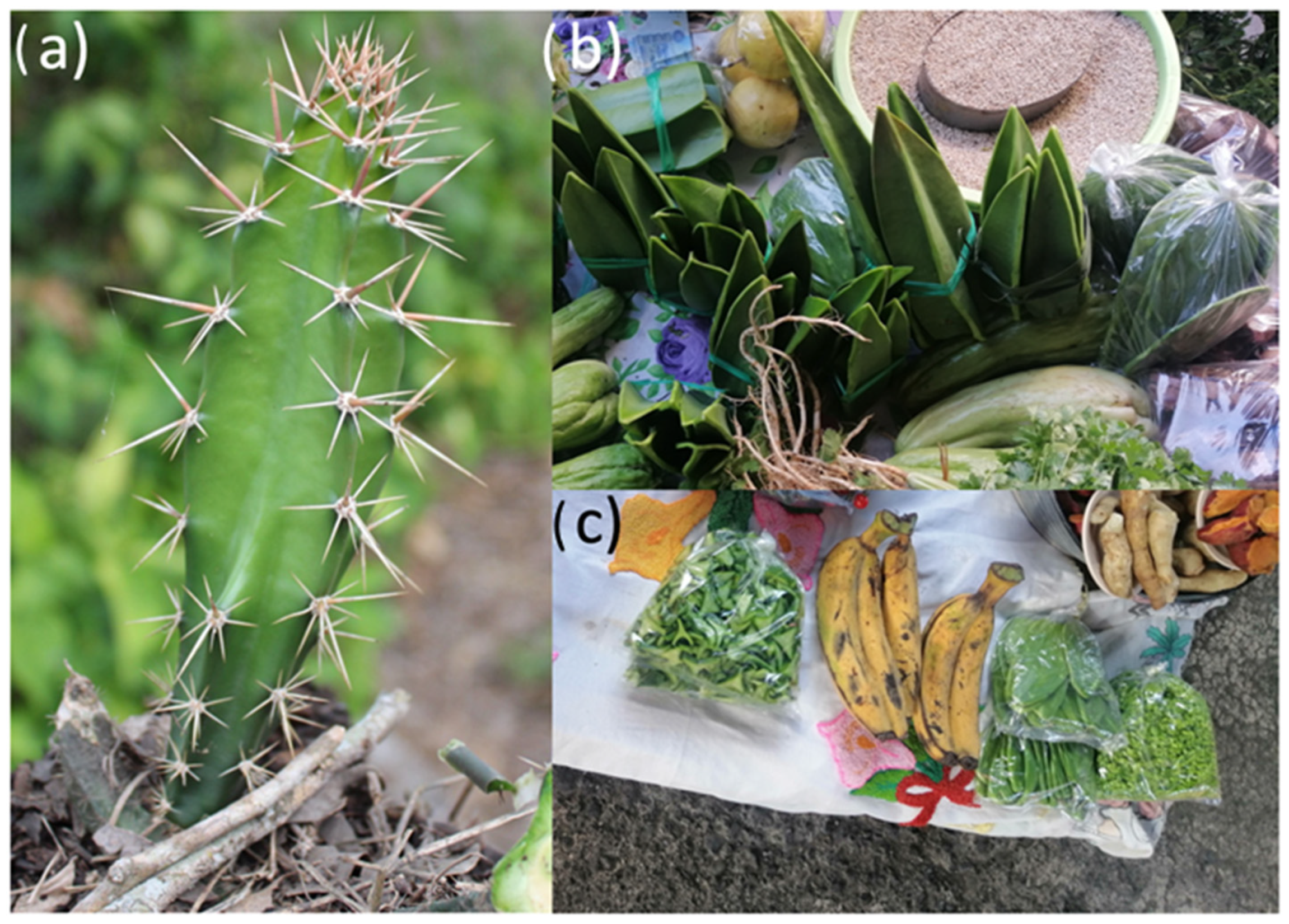 Molecules 27 03707 g001