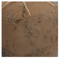 Molecules 27 03708 i003