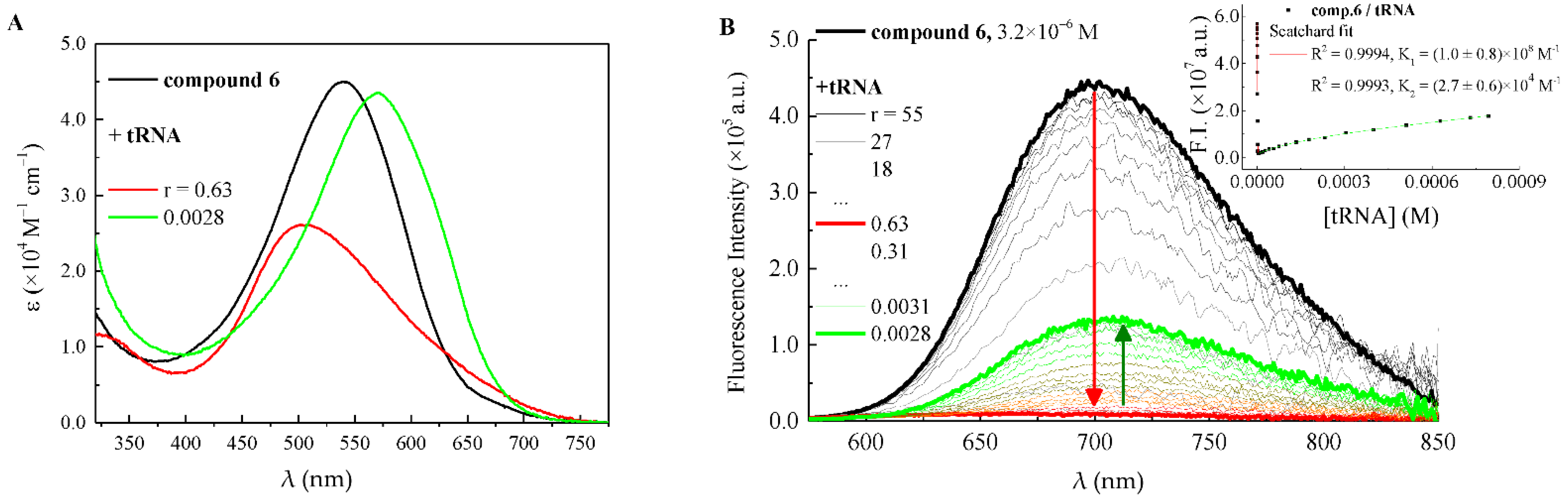 Molecules 27 03713 g003